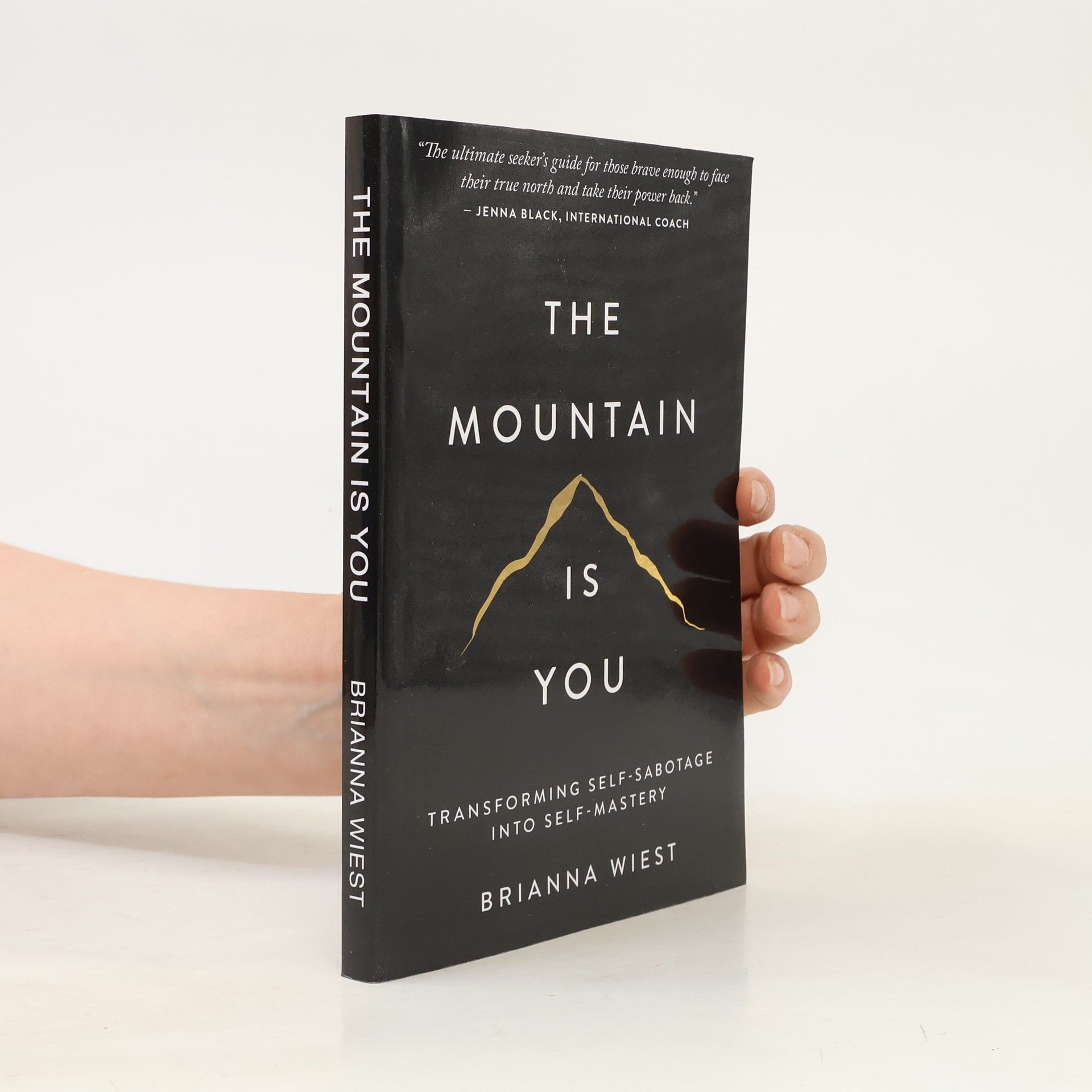 Brianna Wiest The Mountain Is You