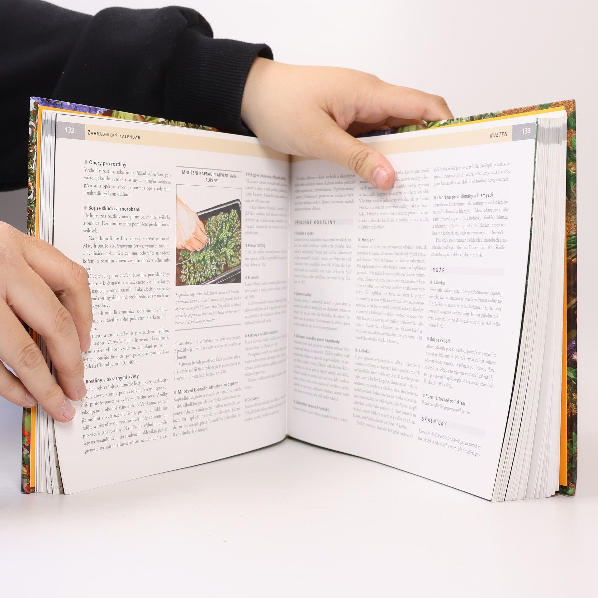 Autorenkollektiv Rok v zahradě. Jak se těšit ze zahrady od jara do zimy
