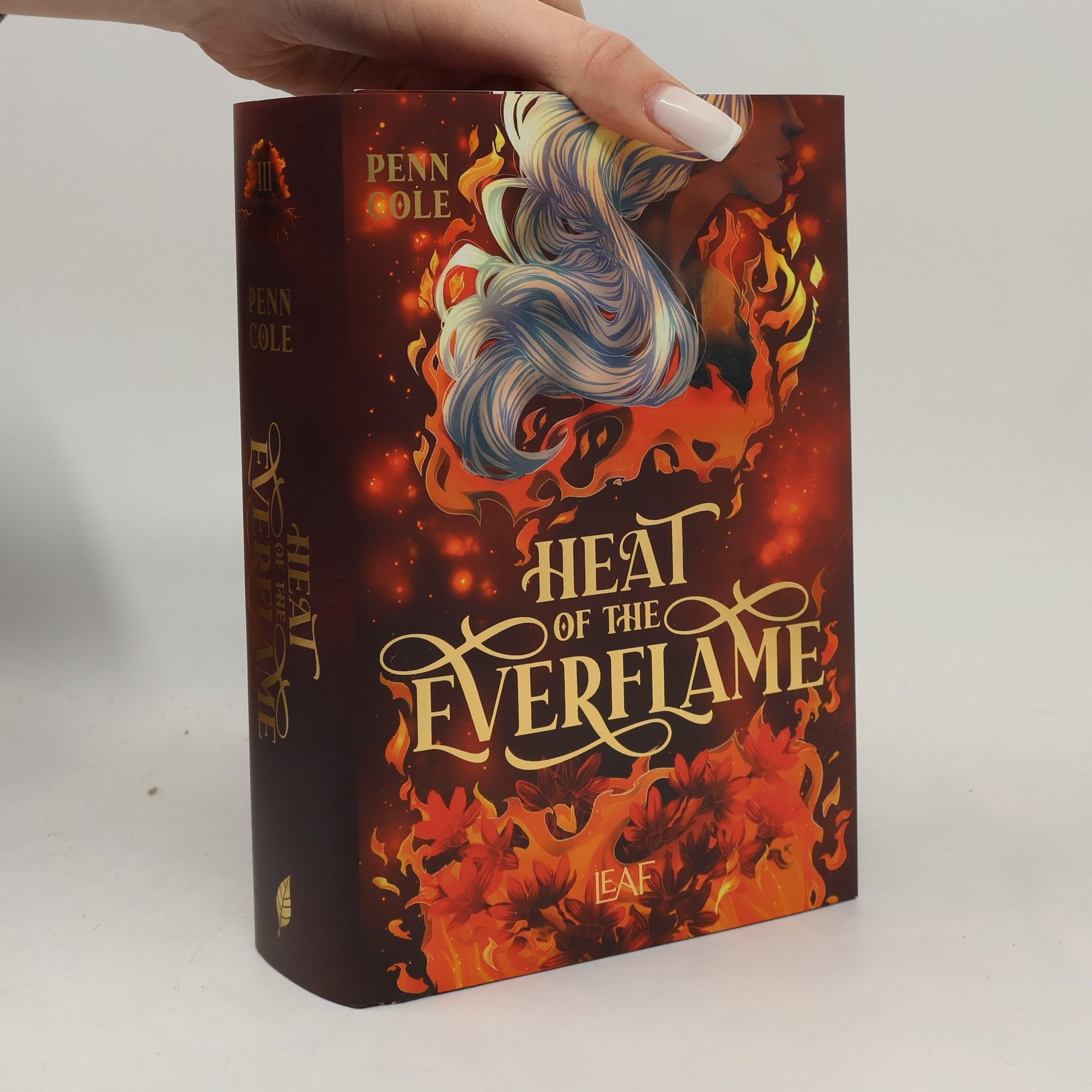 Penn Cole Heat of the Everflame / Kindred´s Curse Saga Bd.3