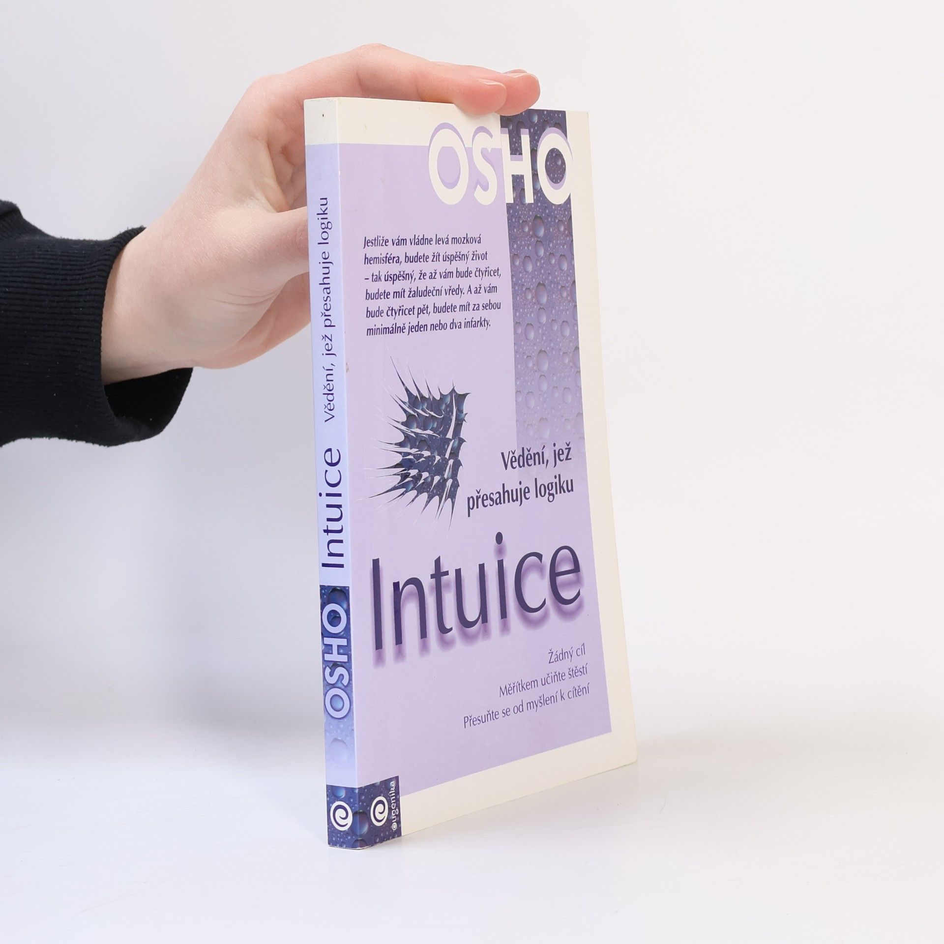 Ošó Intuice. Vědění, jež přesahuje logiku
