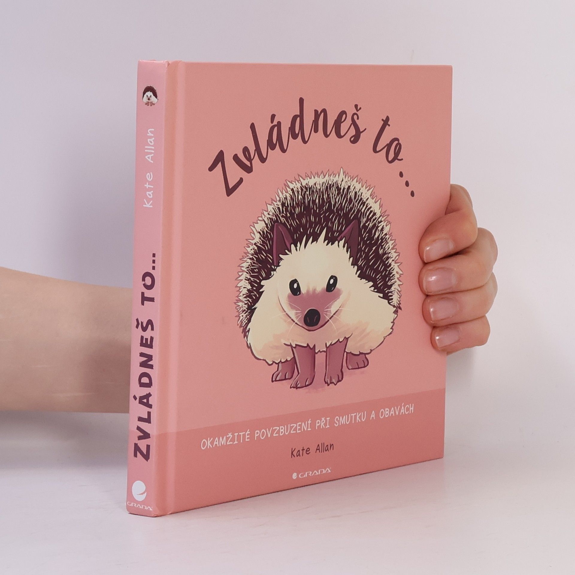 Kate Allan Zvládneš to... Okamžité povzbuzení při smutku a obavách