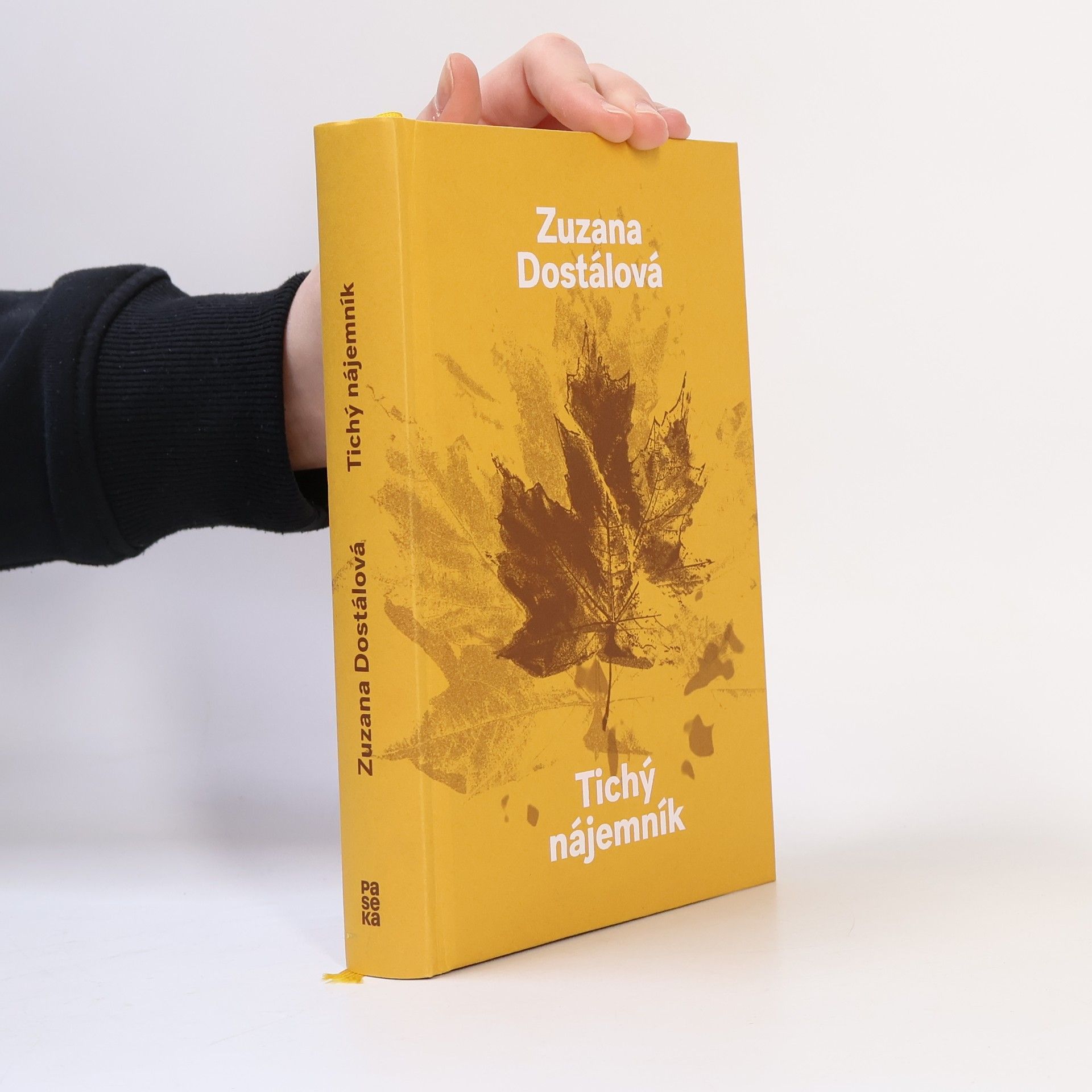 Zuzana Dostálová Tichý nájemník