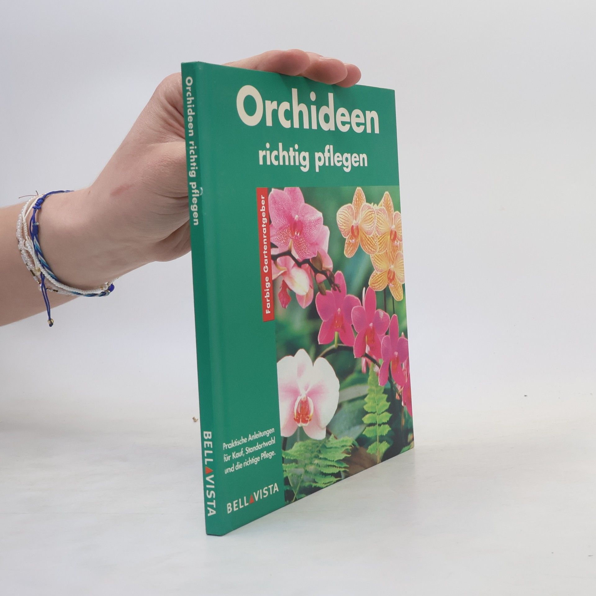 Frank Rolke Orchideen