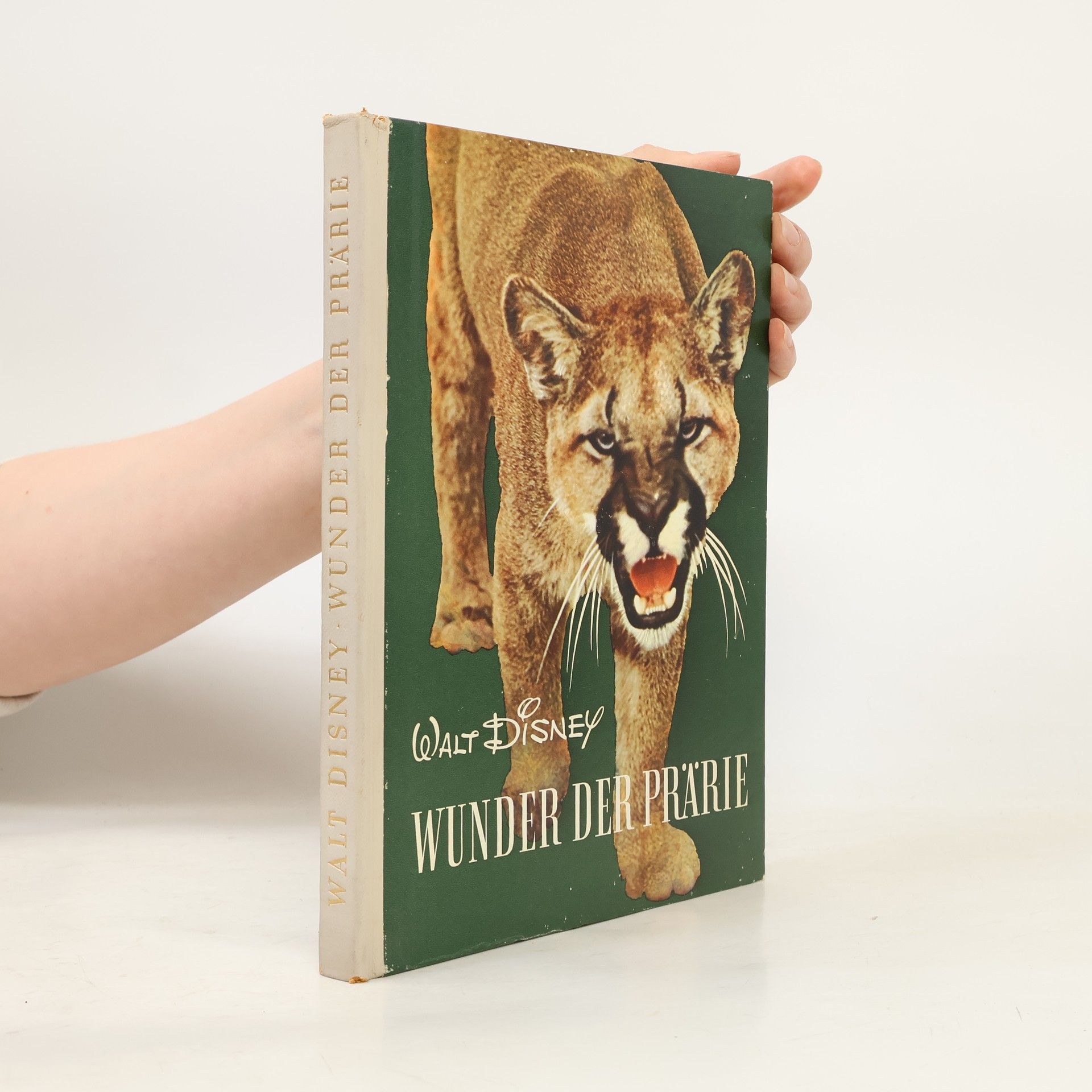 Friedrich Schnack Wunder der Prärie