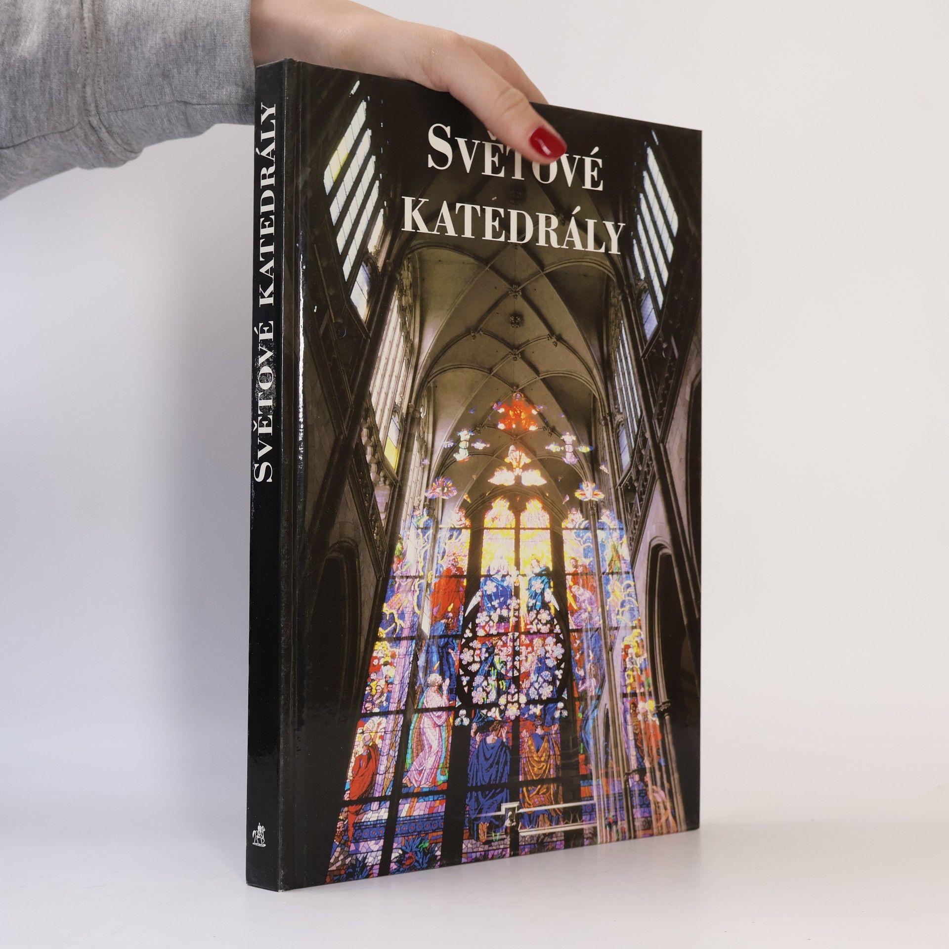 Elizabeth Cruwys Světové katedrály : 83 nádherných katedrál z celého světa