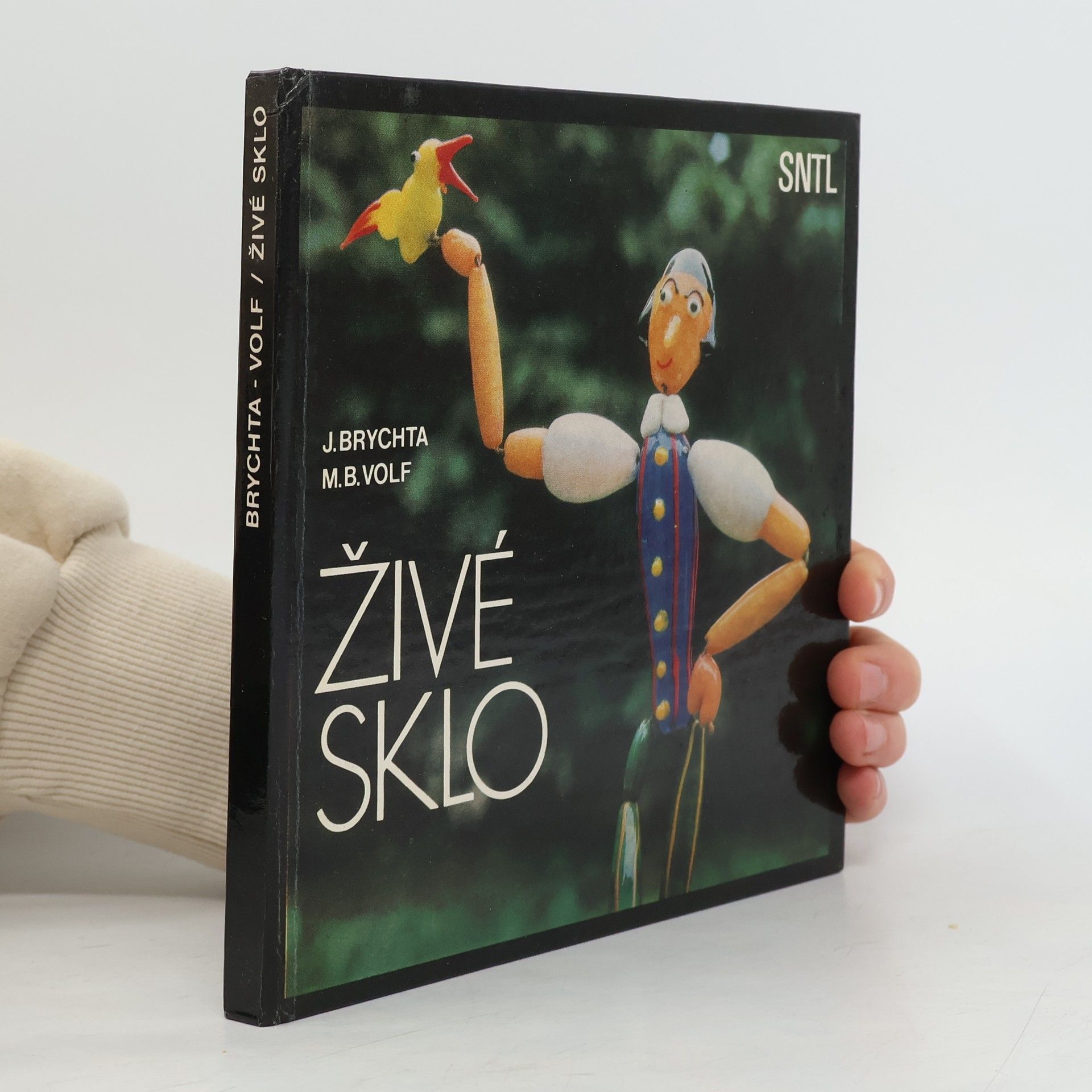 Jaroslav Brychta Živé sklo