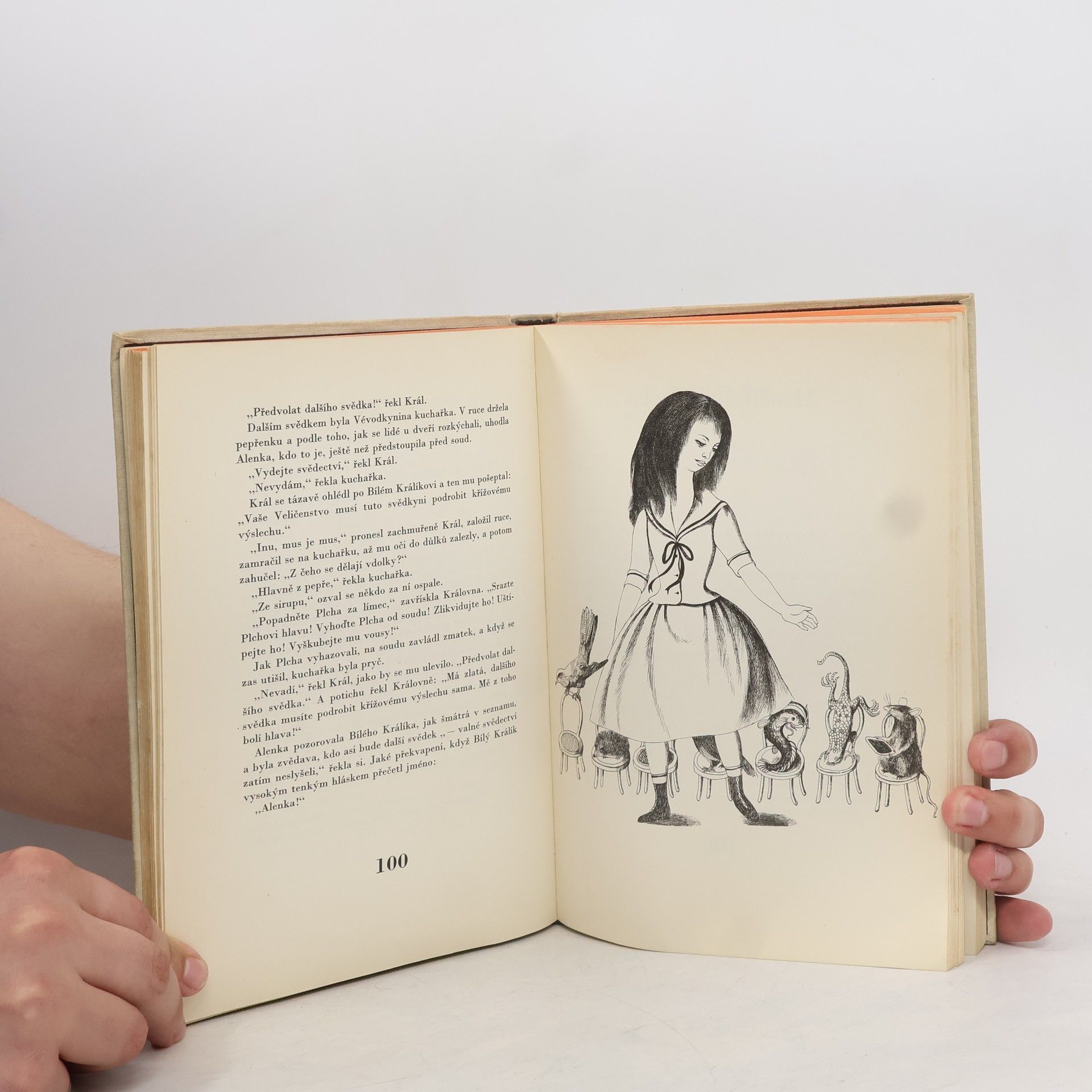 Lewis Carroll Alenka v kraji divů a za zrcadlem