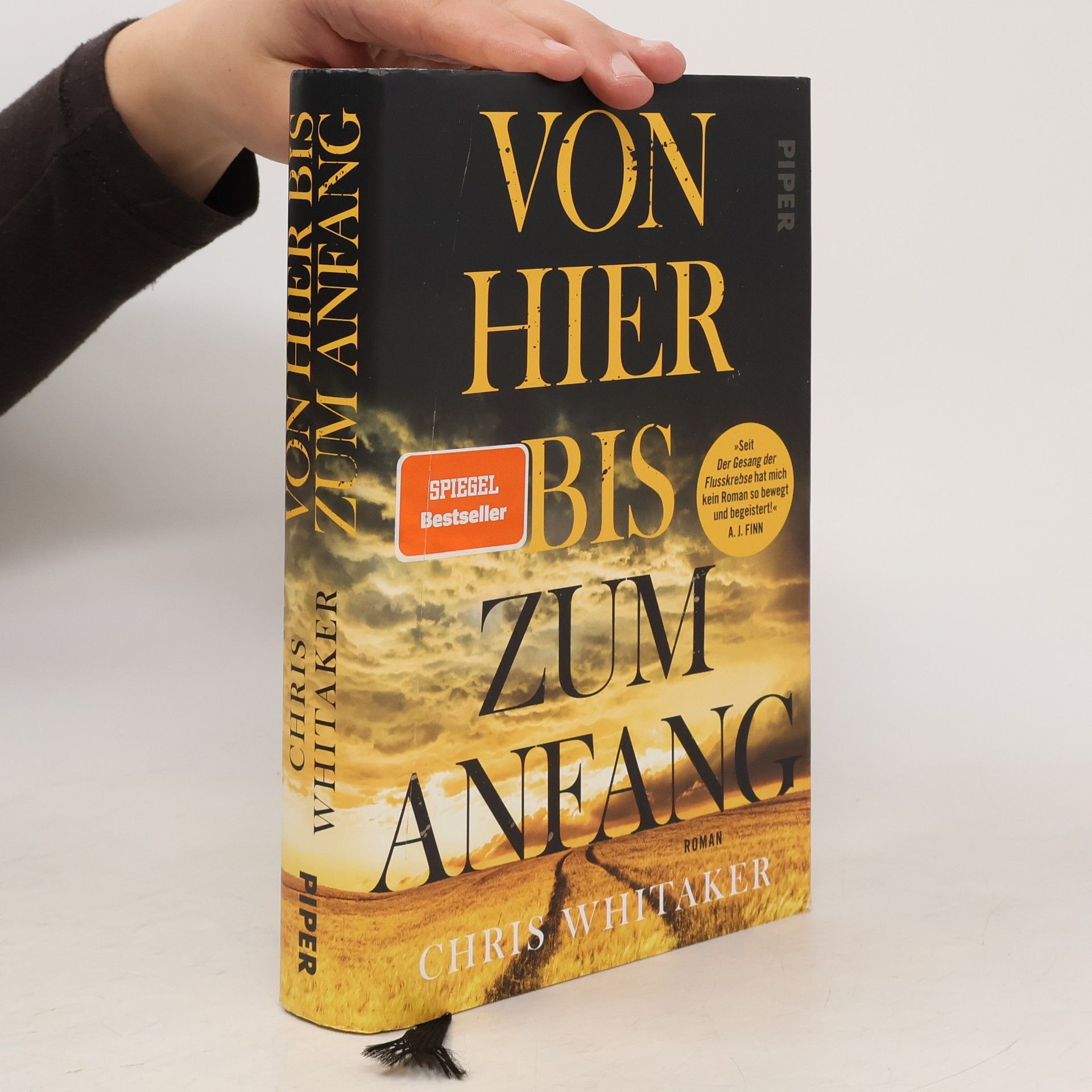 Chris Whitaker Von hier bis zum anfang