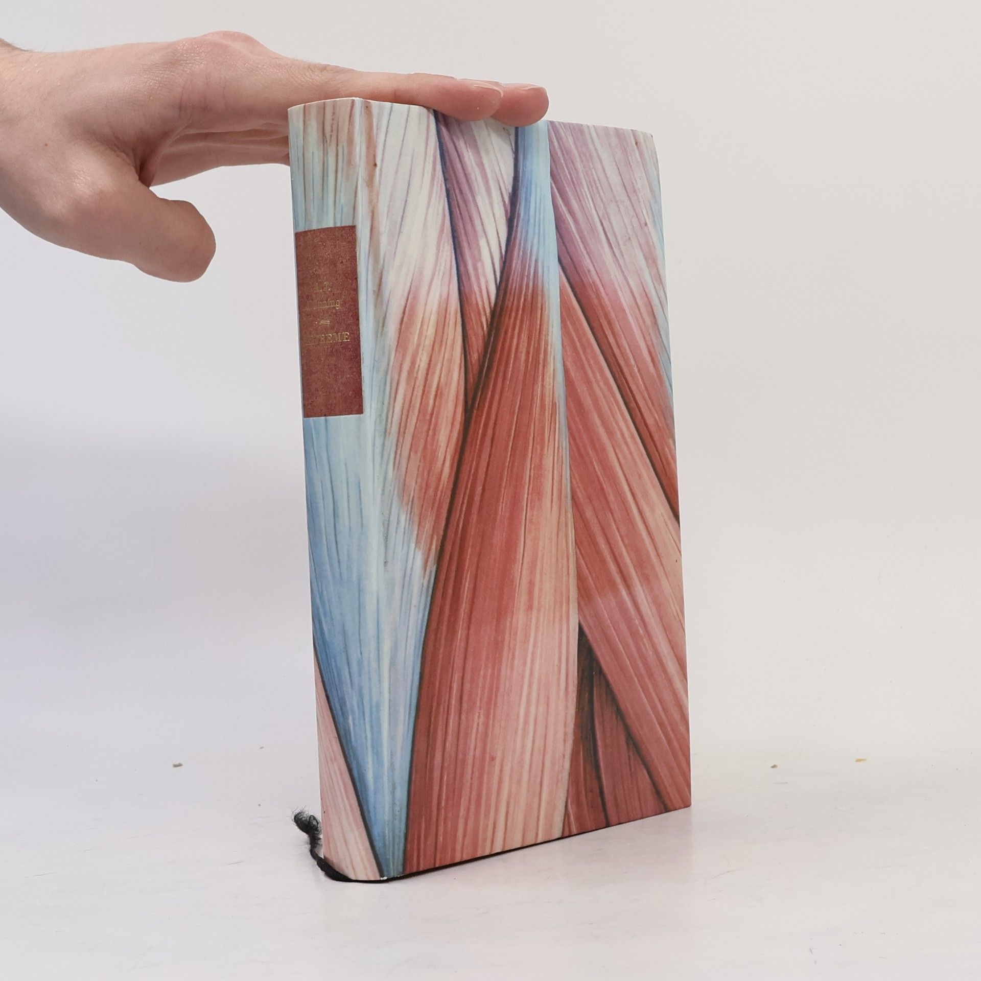 Arend Jan Dunning Extreme