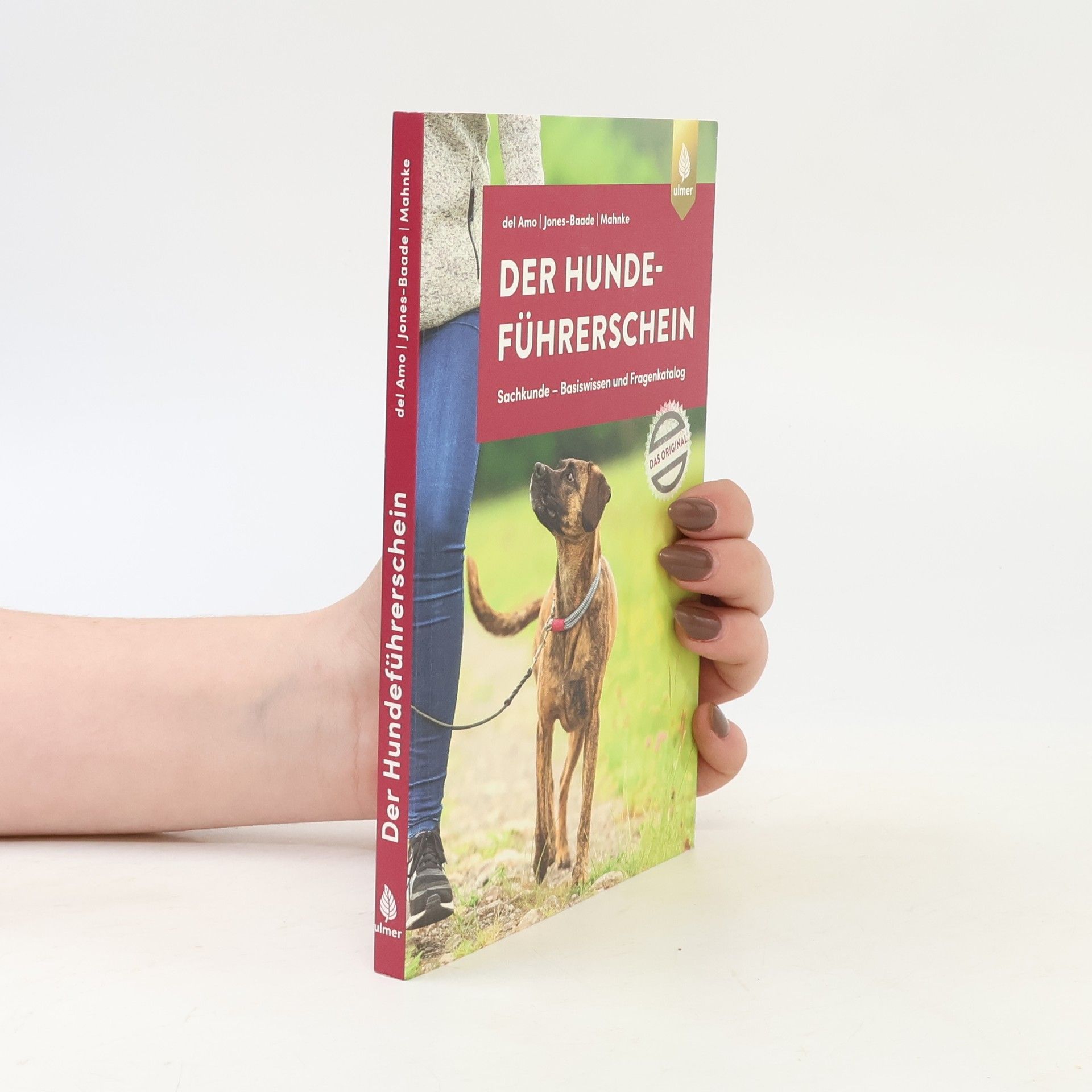 Celina Del Amo Der Hundeführerschein