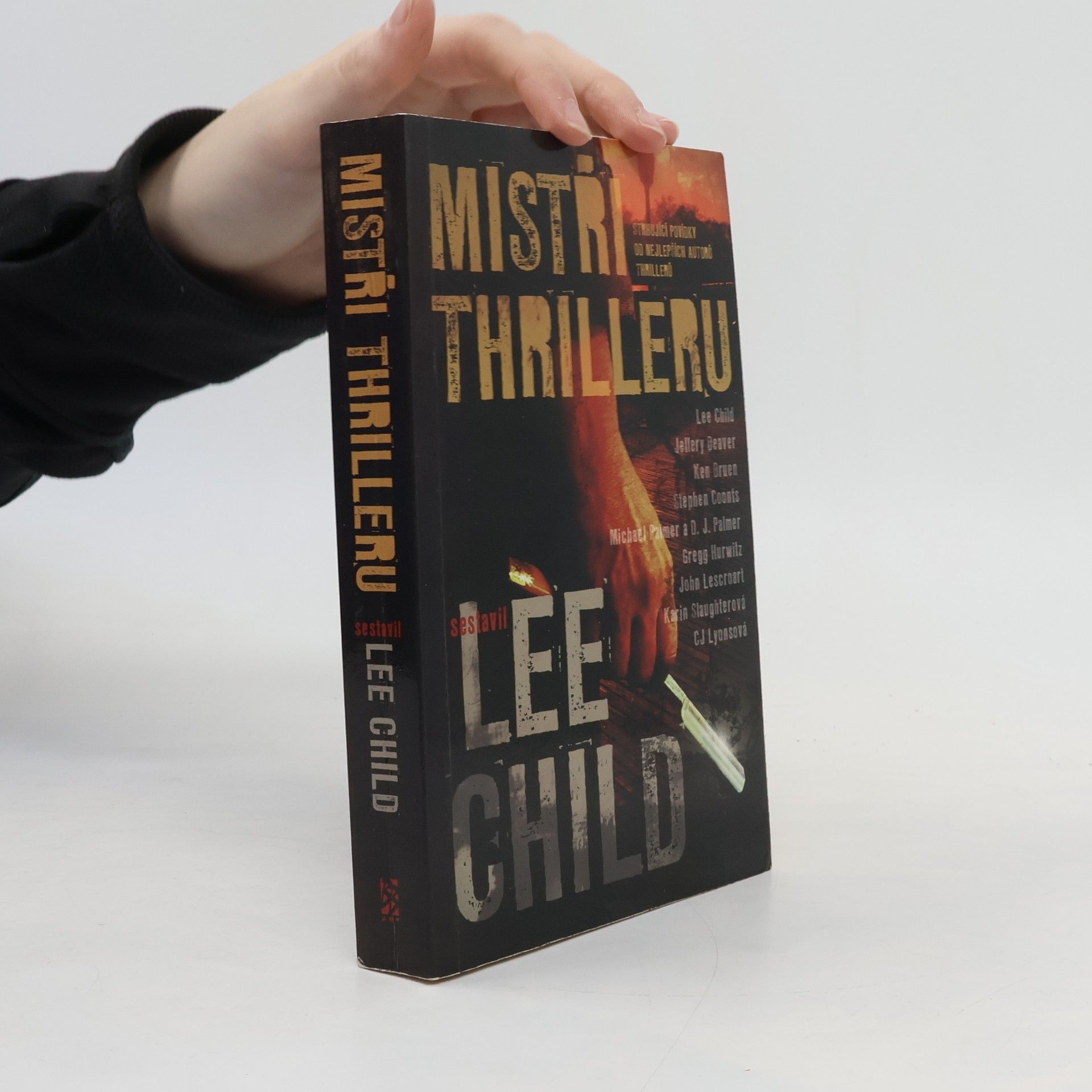 Marie Frydrychová Mistři thrilleru: Strhující povídky od nejlepších autorů thrillerů