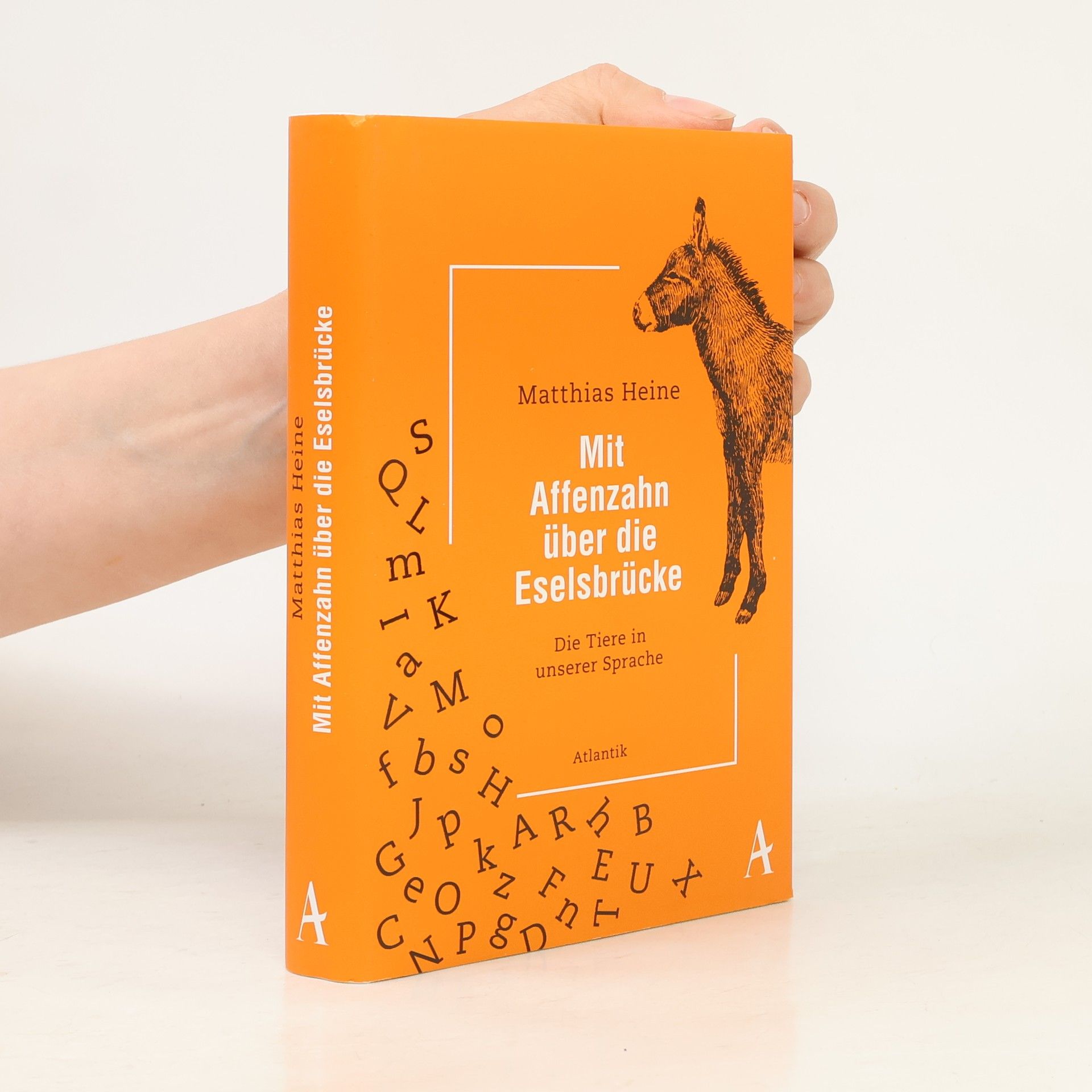 Matthias Heine Mit Affenzahn über die Eselsbrücke