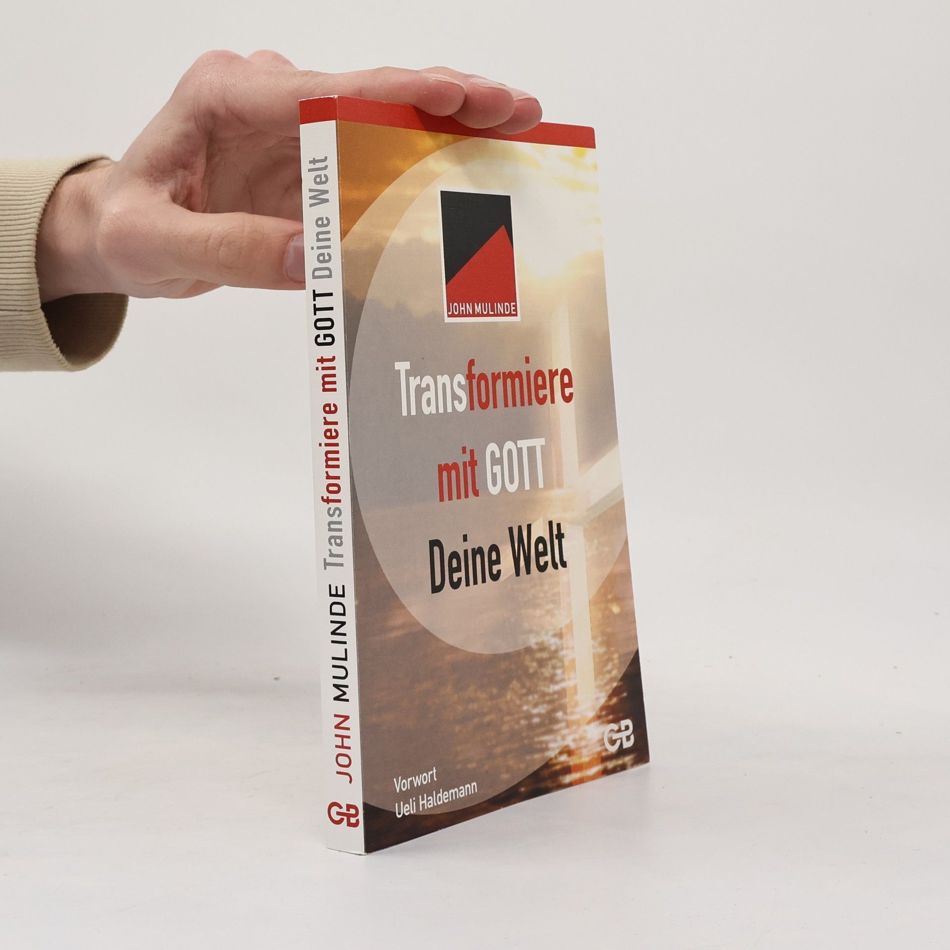 Ueli Haldemann Transformiere mit Gott deine Welt: Vorw. v. Ueli Haldemann