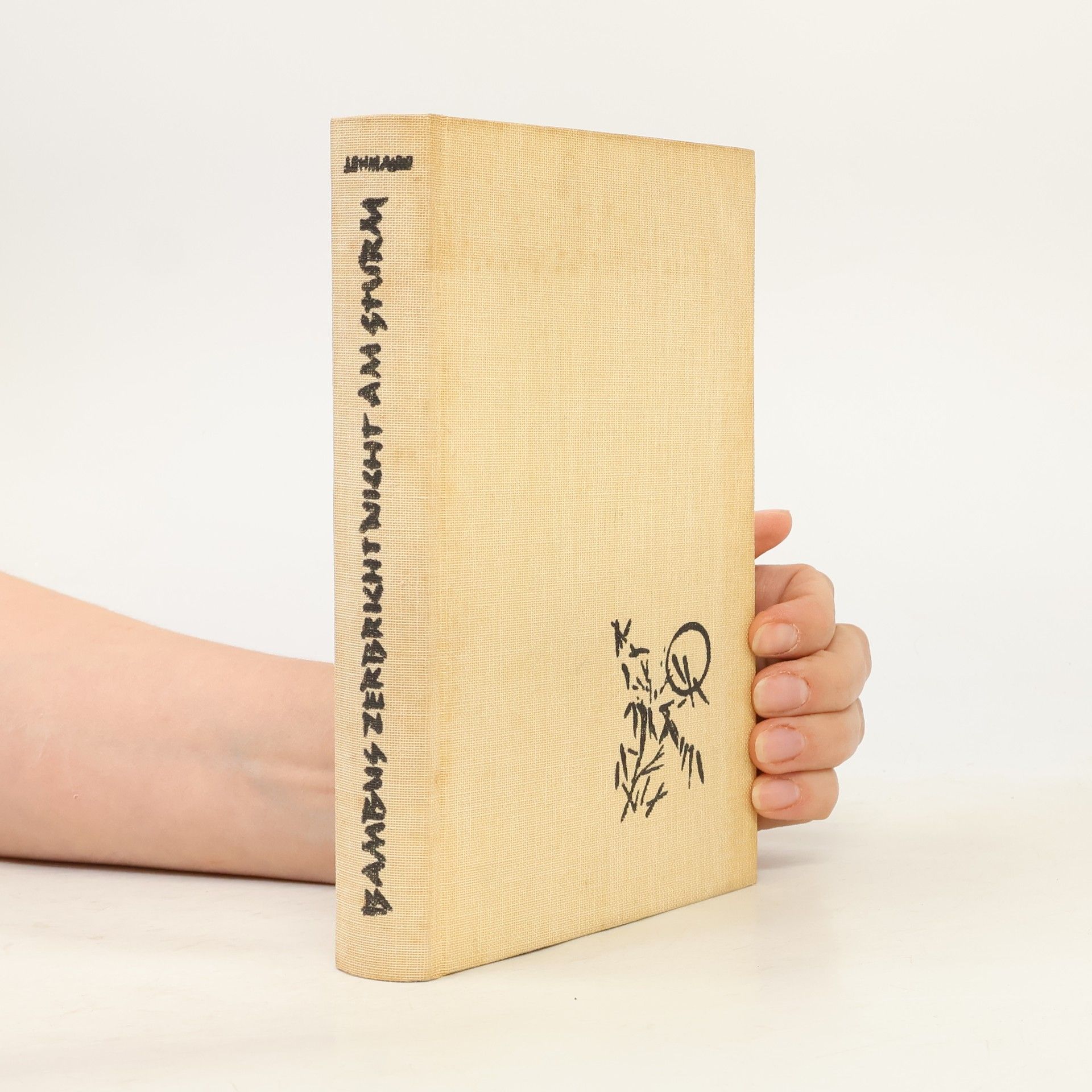 Emily Lehmann Bambus zerbricht nicht am Sturm