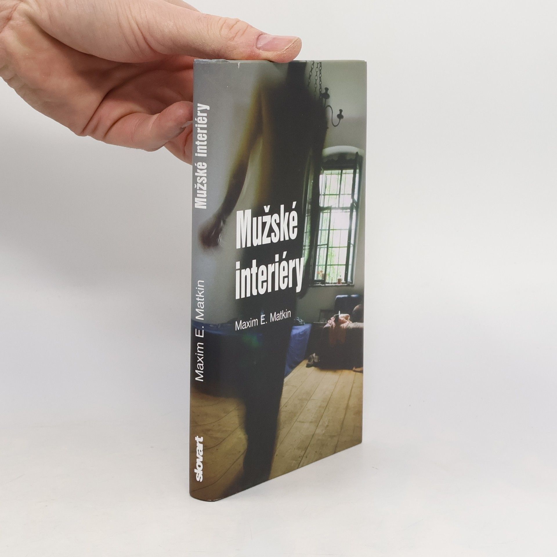 Maxim E. Matkin Mužské interiéry