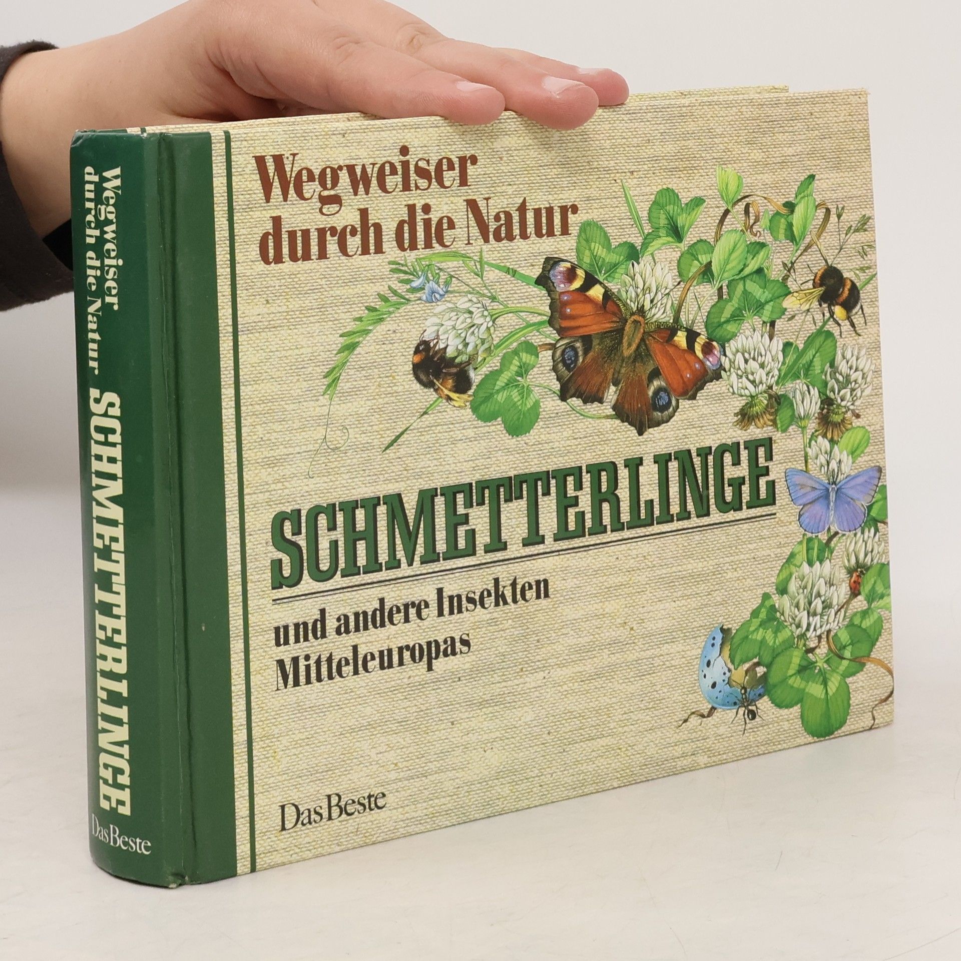 Schmetterlinge und andere Insekten Mitteleuropas