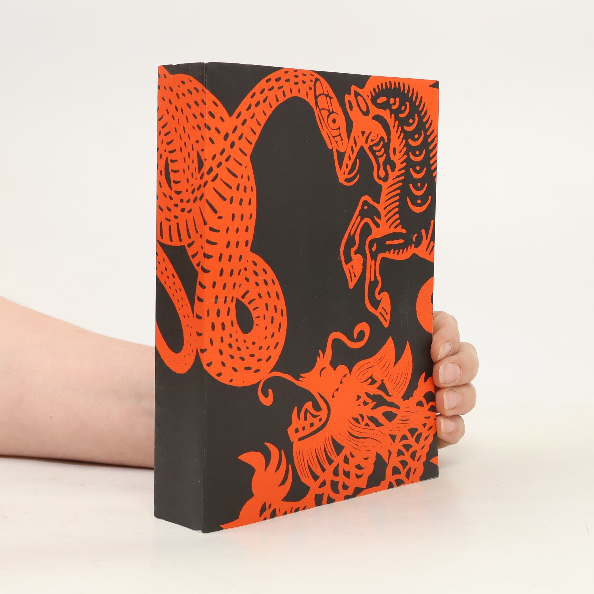 Laura Gallego García Geheime Welt Idhún