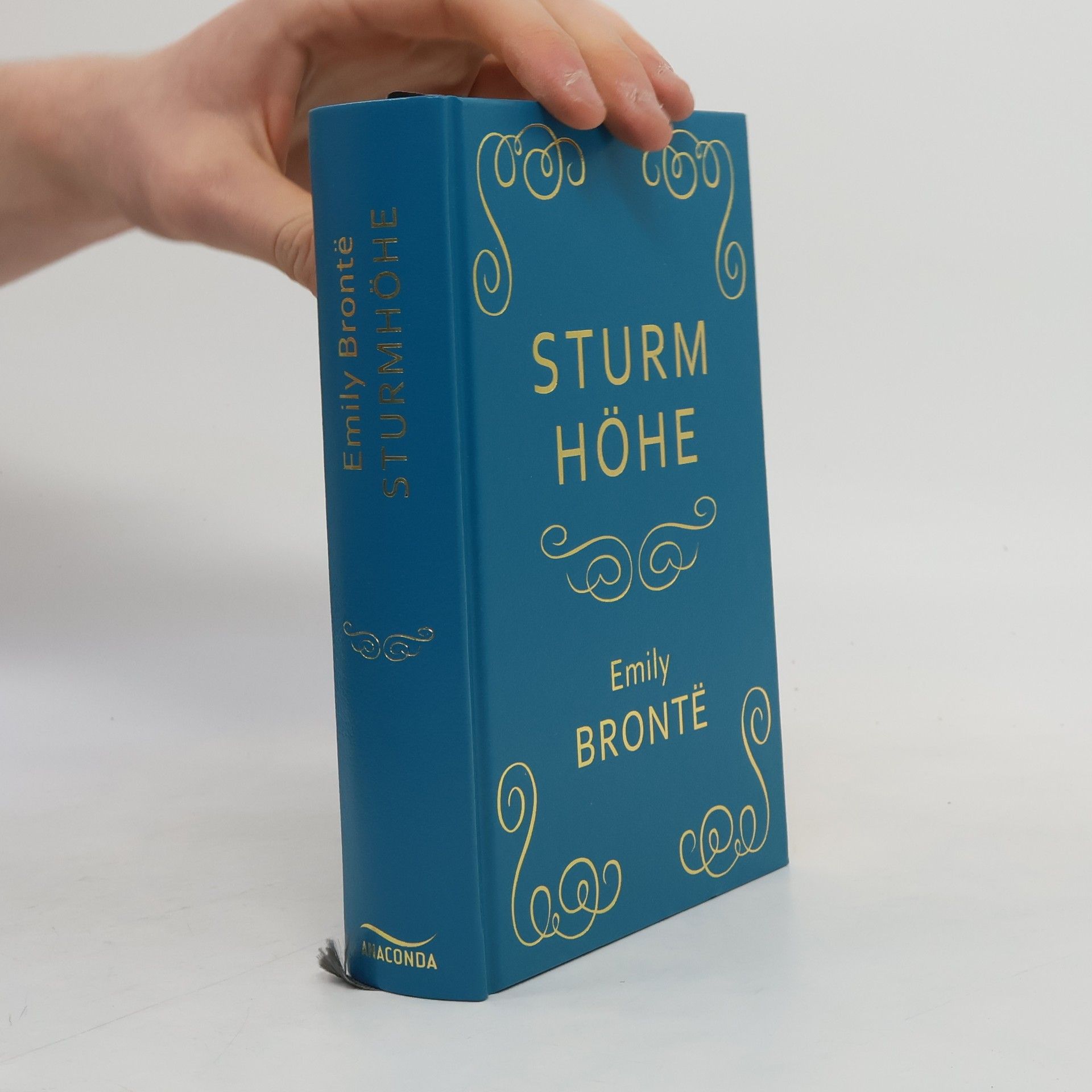 Emily Brontë Sturmhöhe