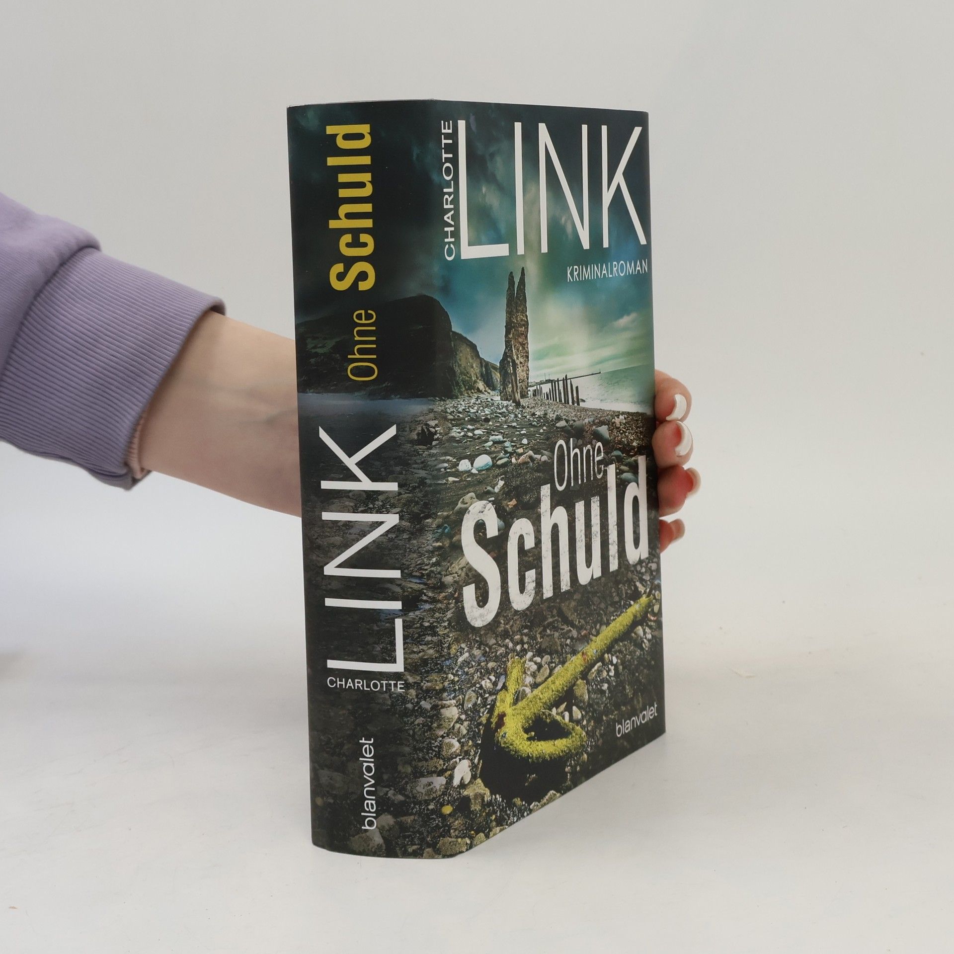 Charlotte Link Ohne Schuld