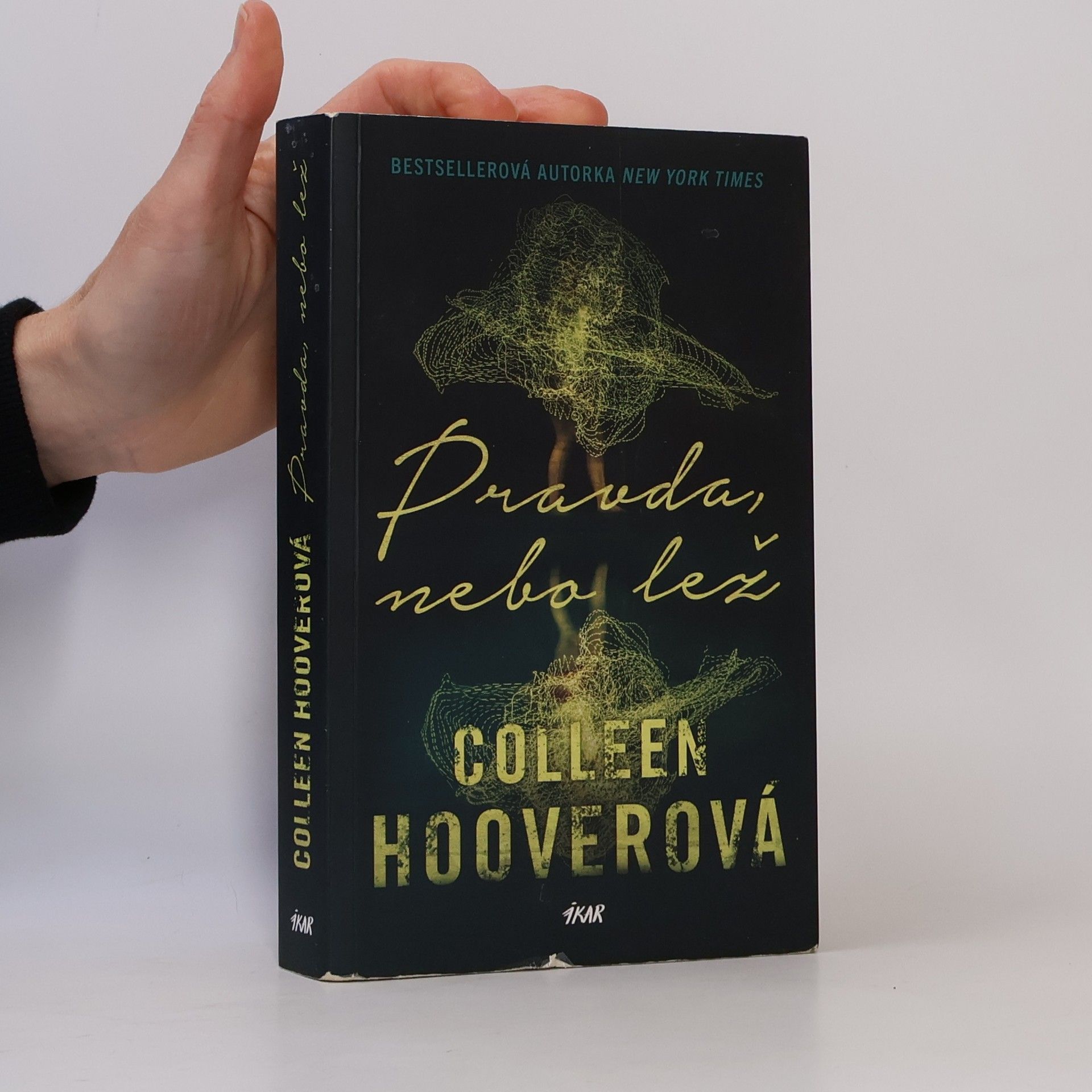 Colleen Hoover Pravda, nebo lež