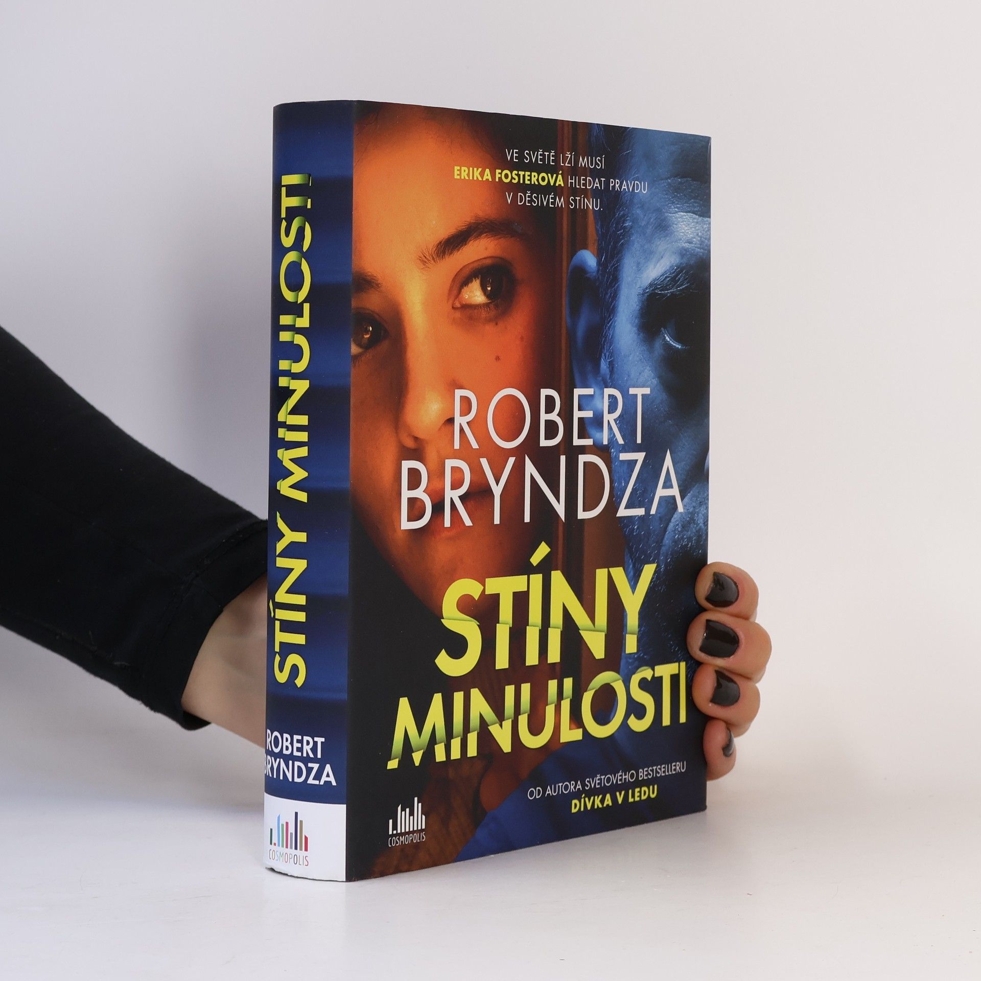 Robert Bryndza Stíny minulosti