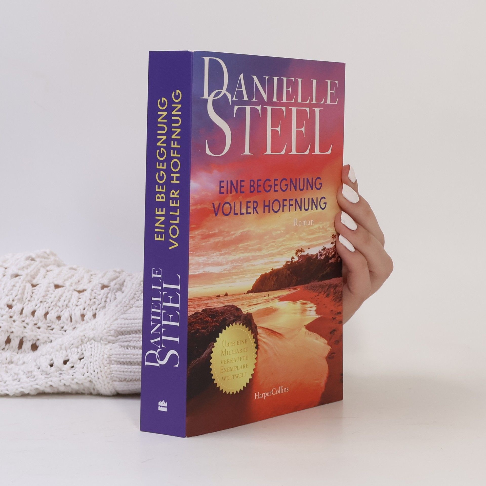 Danielle Steel Eine Begegnung voller Hoffnung