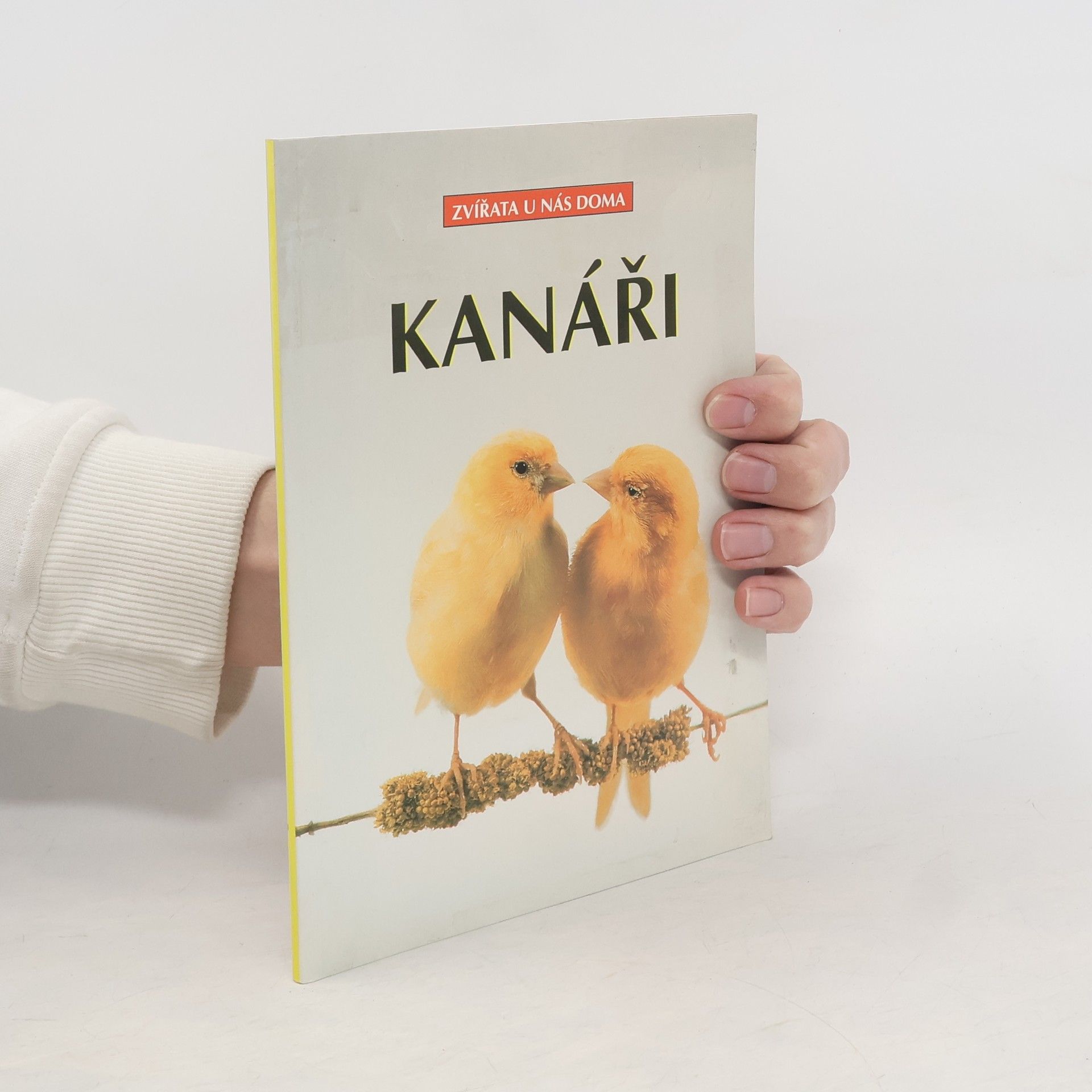 Markus Hübl Kanáři