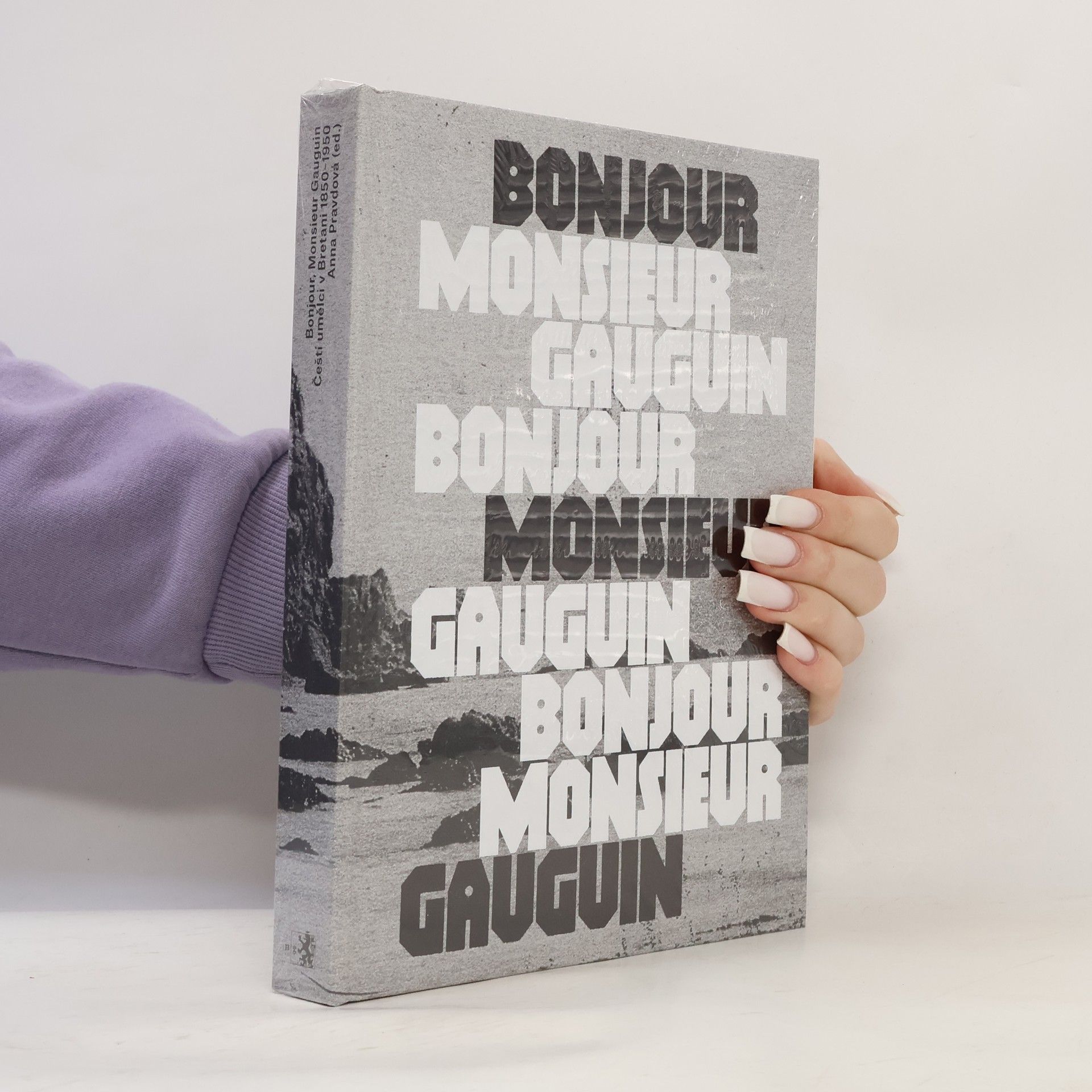 Anna Pravdová Bonjour, Monsieur Gauguin