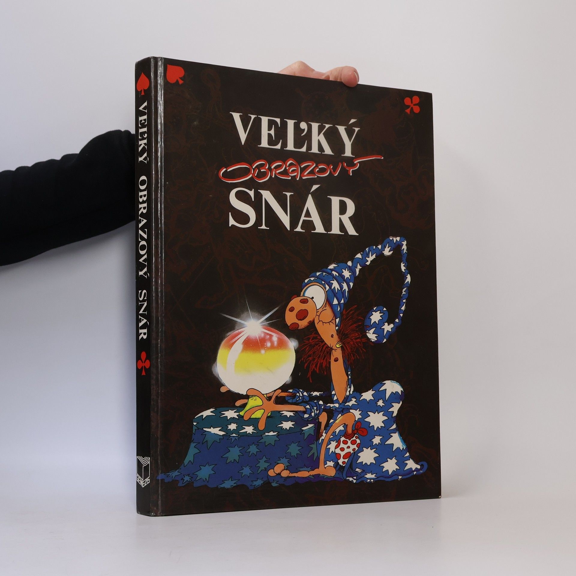 Autorenkollektiv Veľký obrazový snár