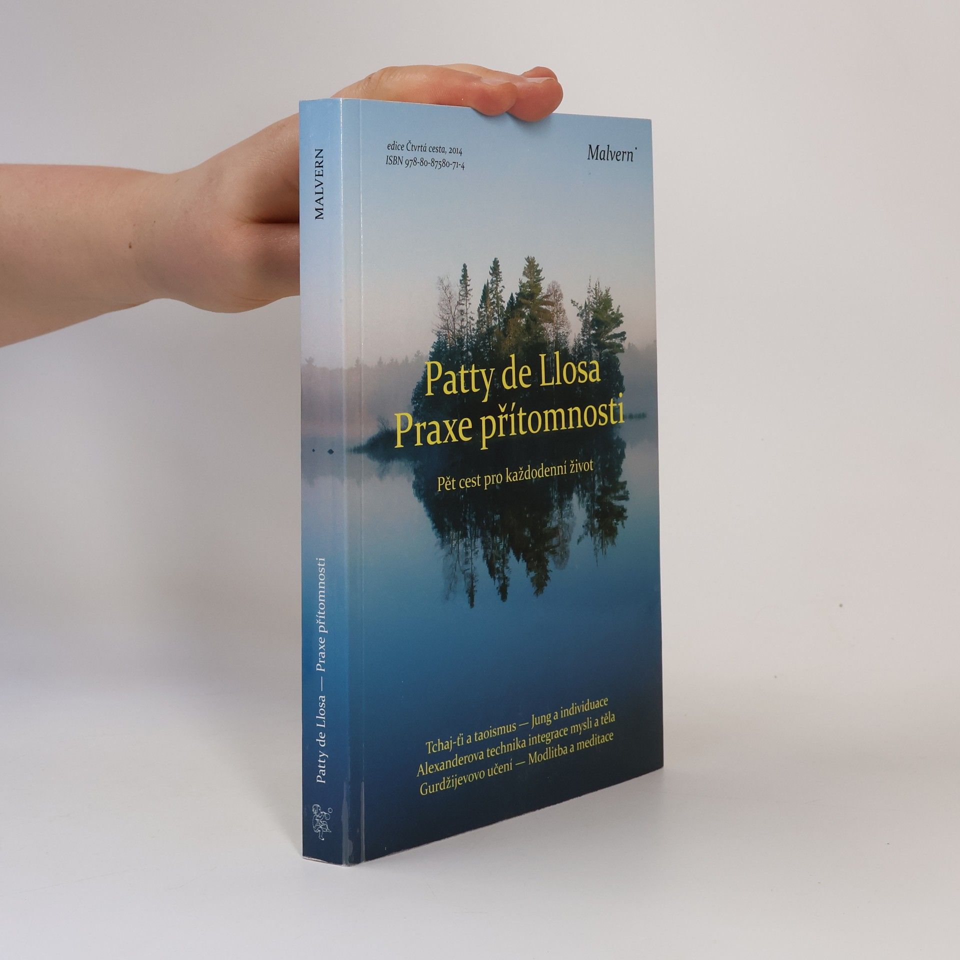 Patty de Llosa Praxe přítomnosti. Pět cest pro každodenní život