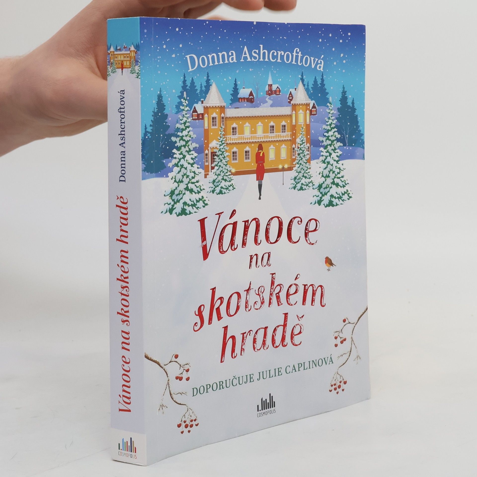 Donna Ashcroft Vánoce na skotském hradě