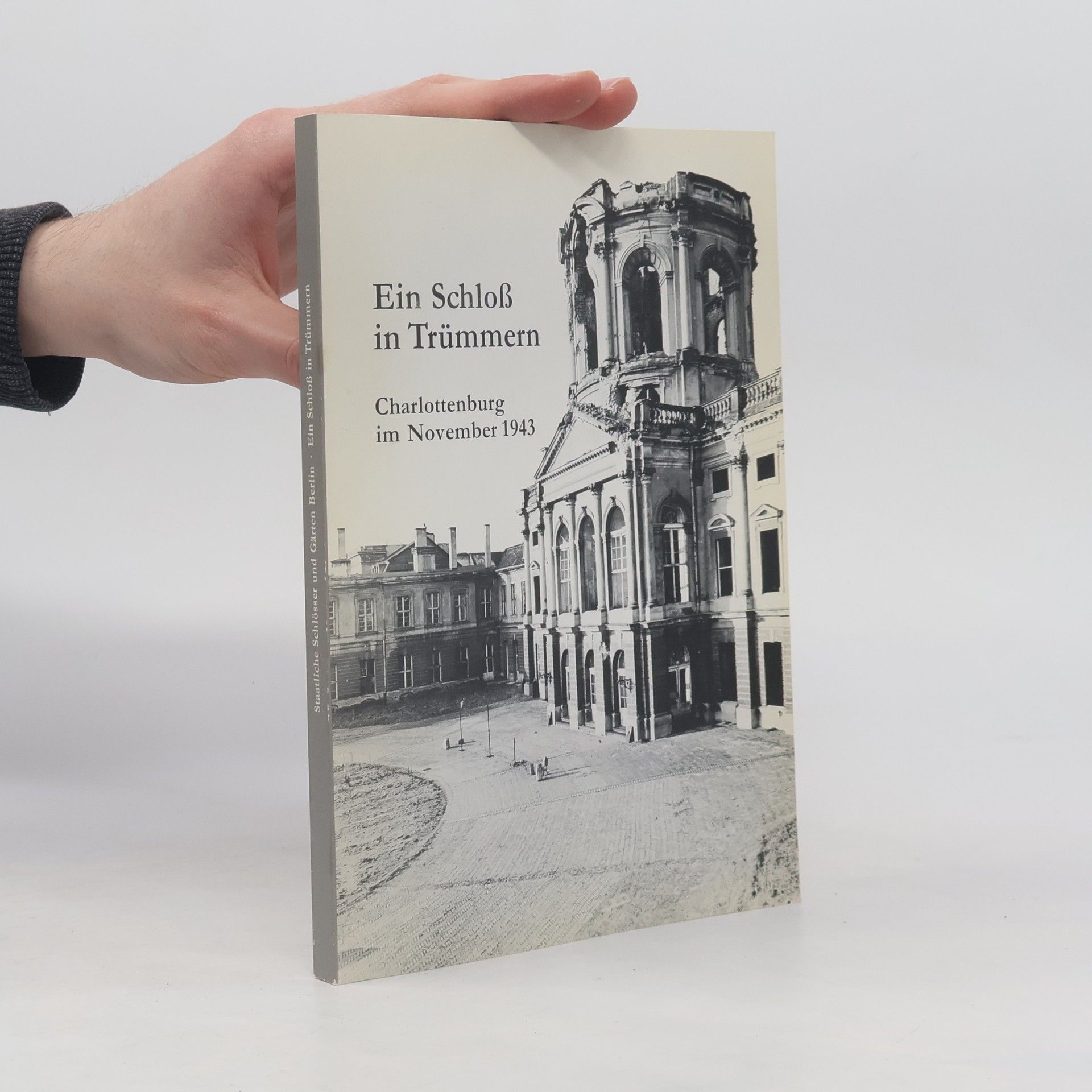 Jürgen Julier Ein Schloss in Trümmern