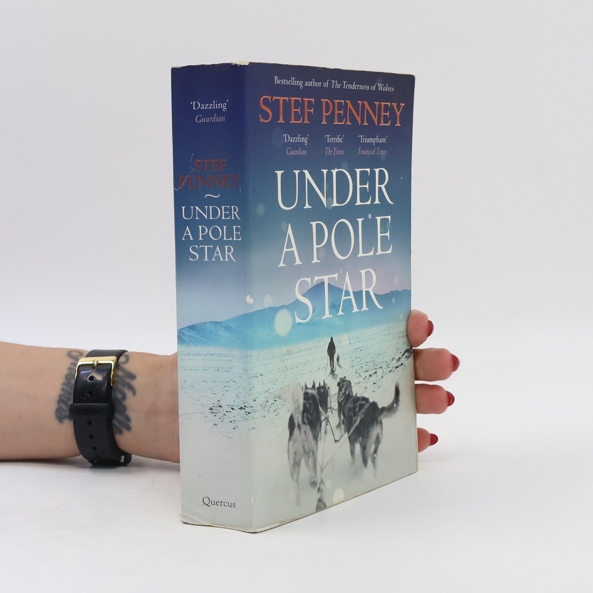 Stef Penney Under A Pole Star