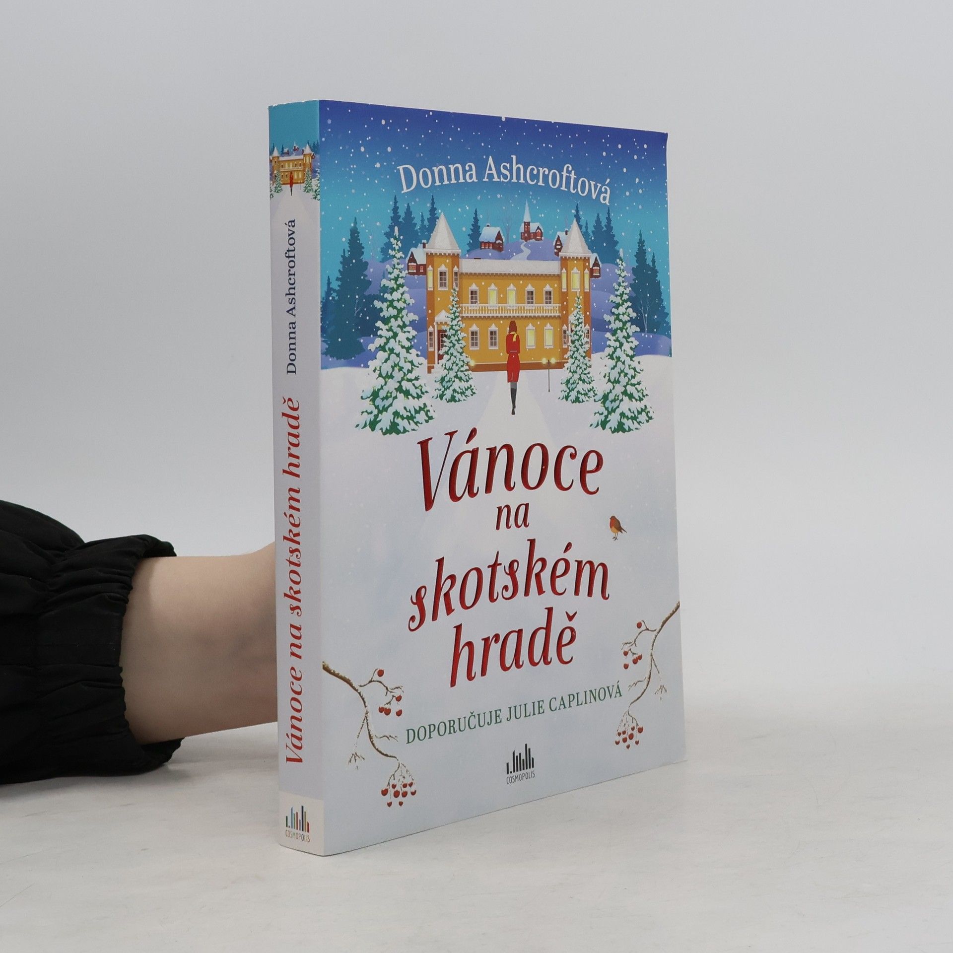 Donna Ashcroft Vánoce na skotském hradě