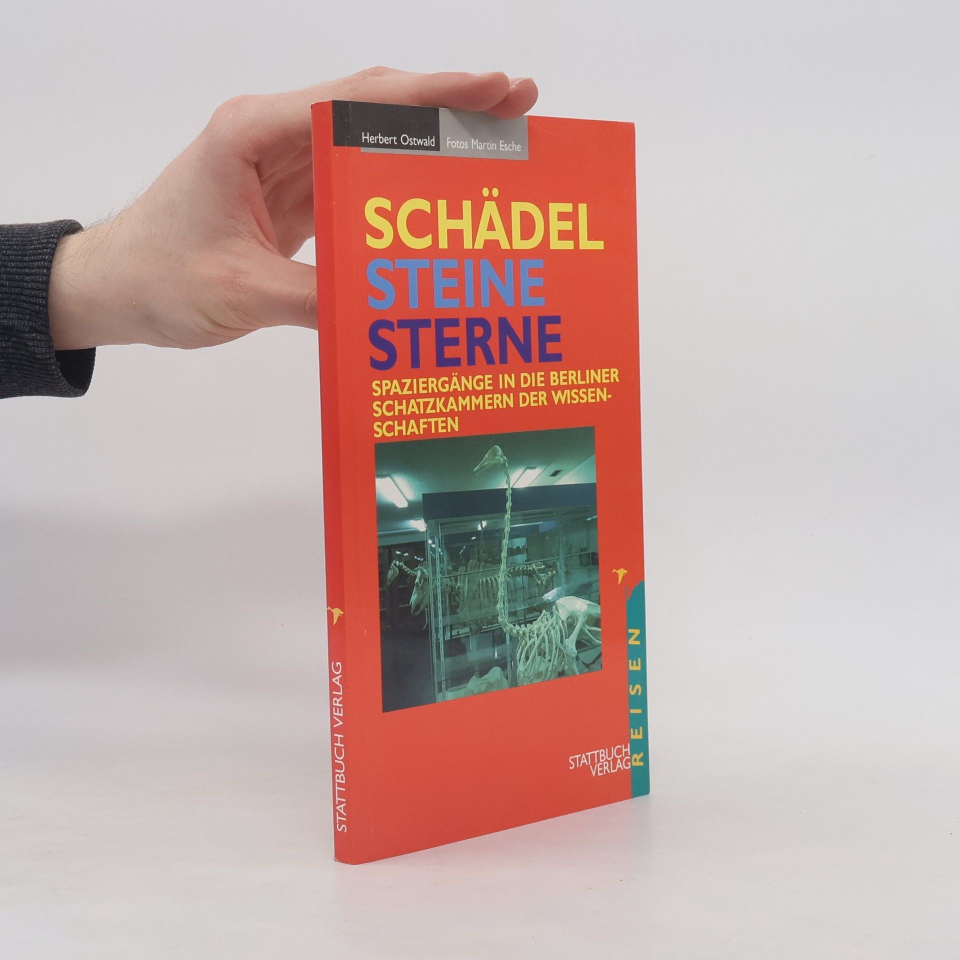 Herbert Ostwald Schädel, Steine, Sterne