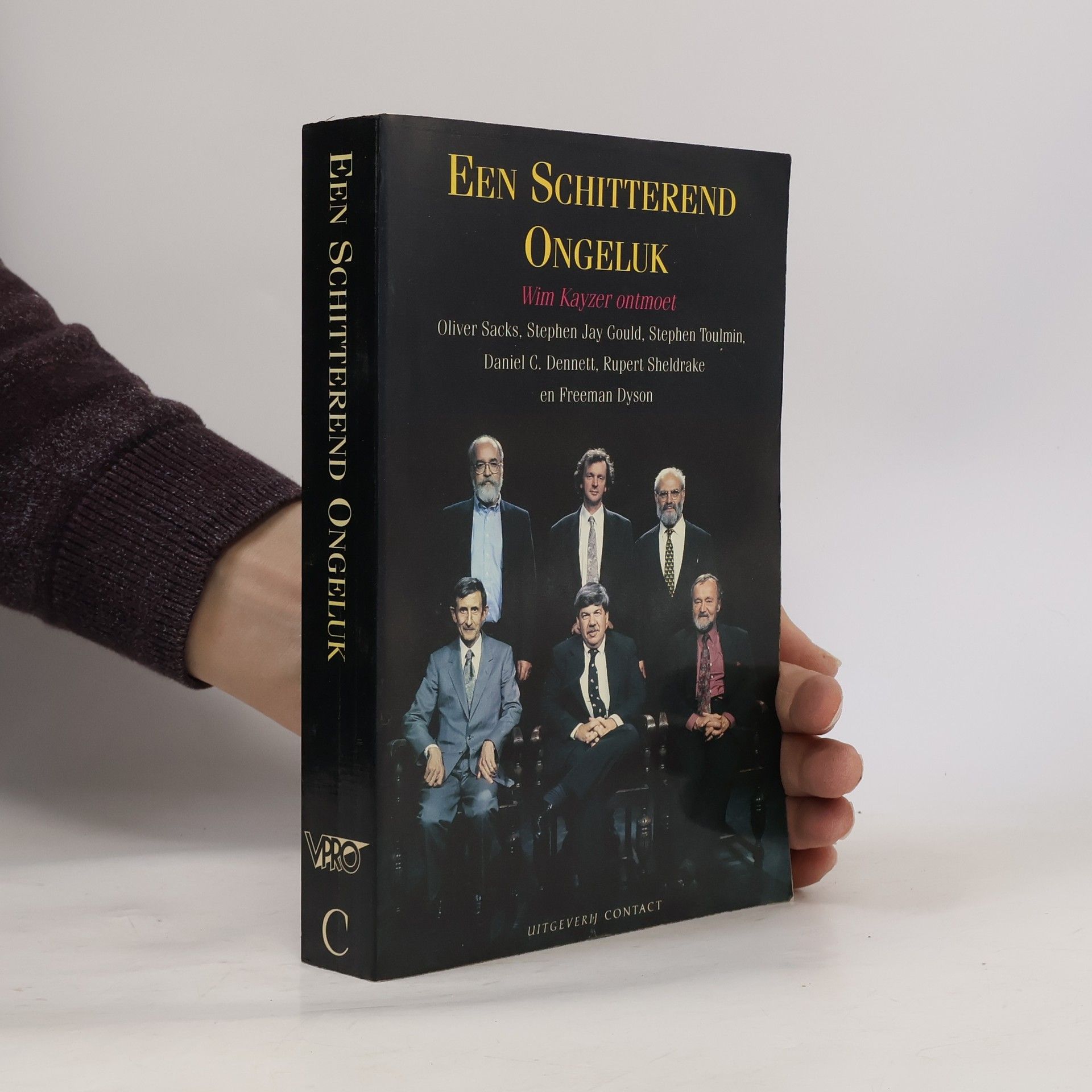 Een schitterend ongeluk