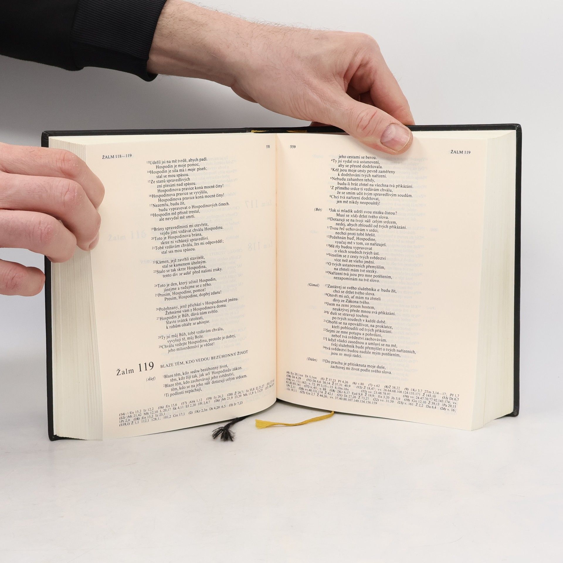 Various authors Bible