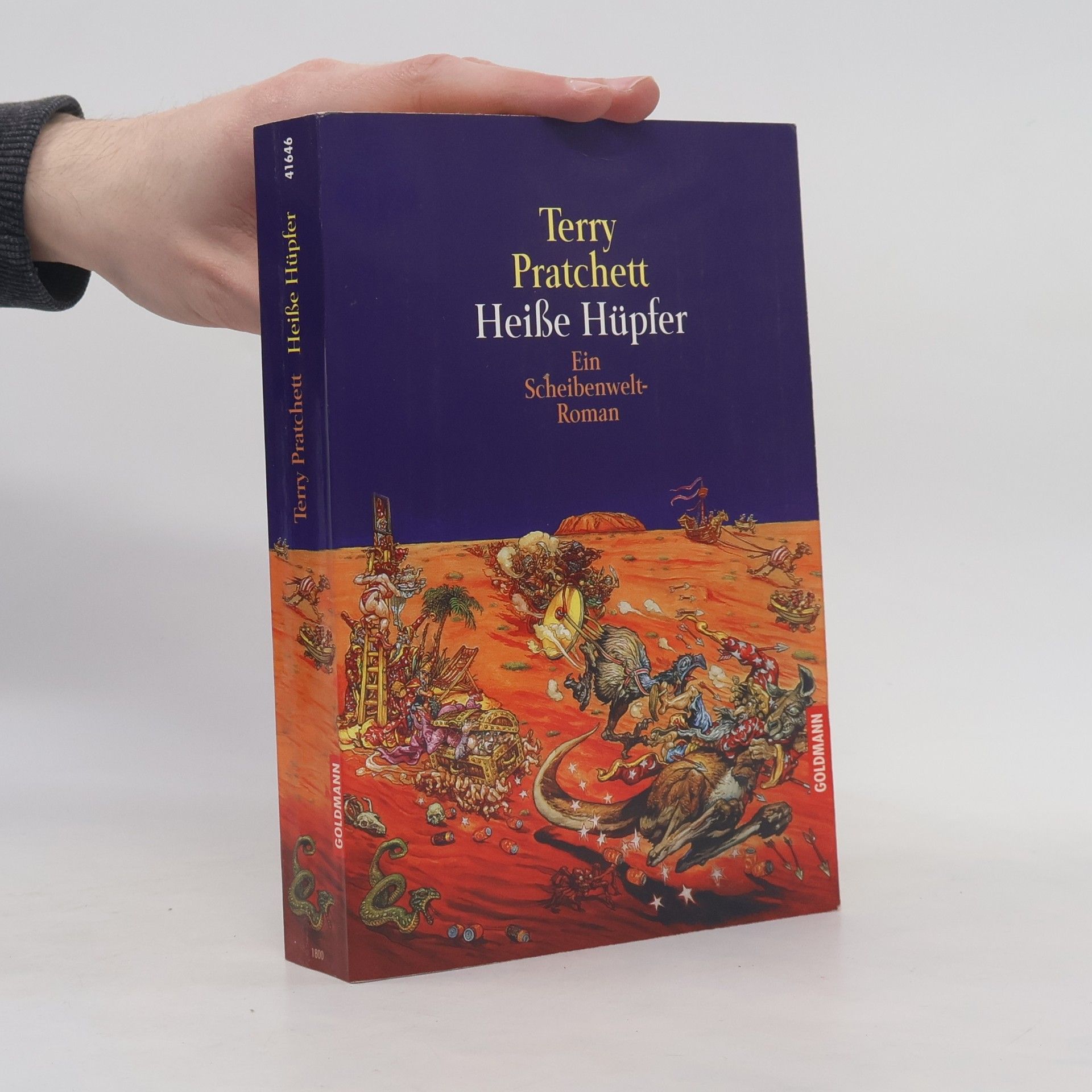 Terry Pratchett Heiße Hüpfer