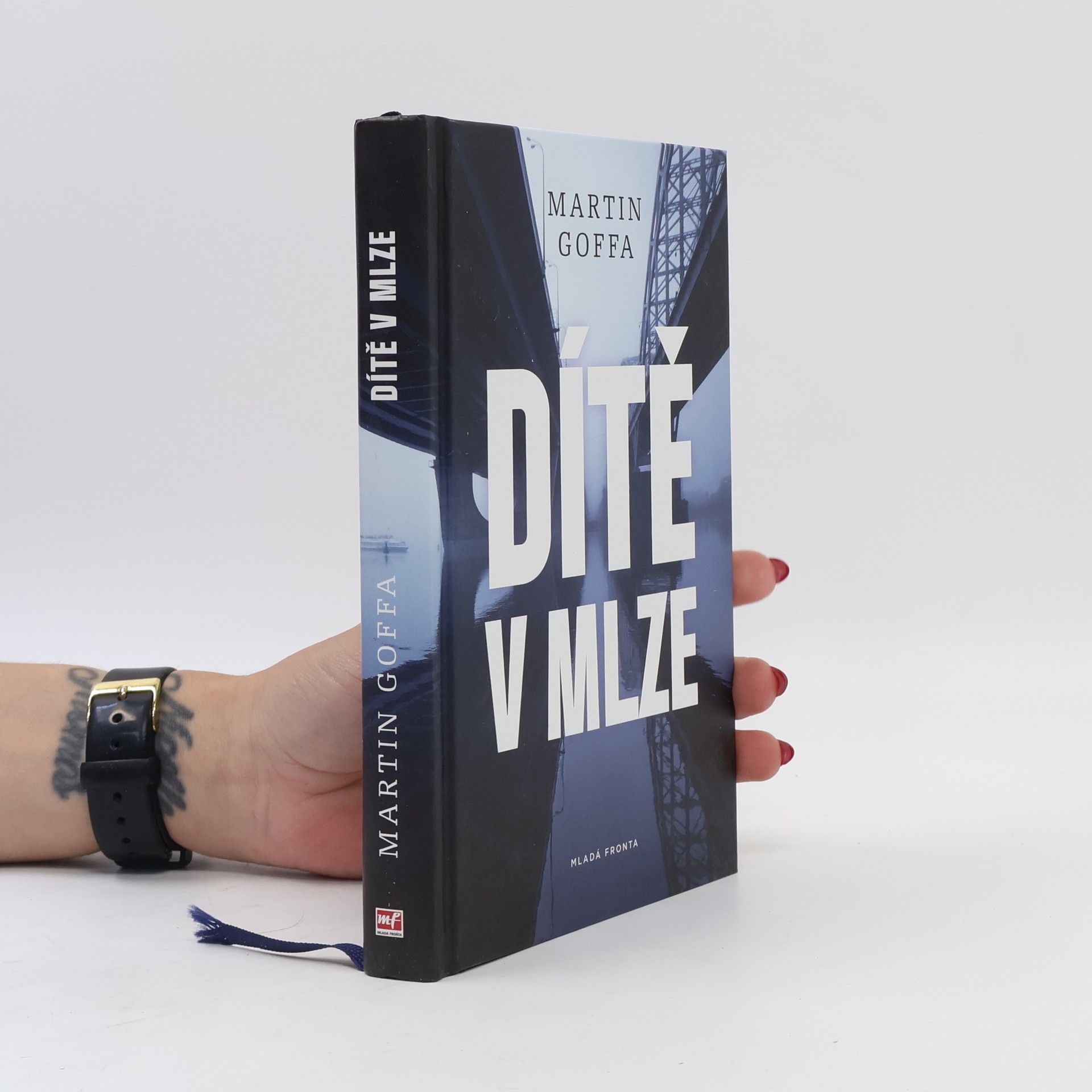 Martin Goffa Dítě v mlze