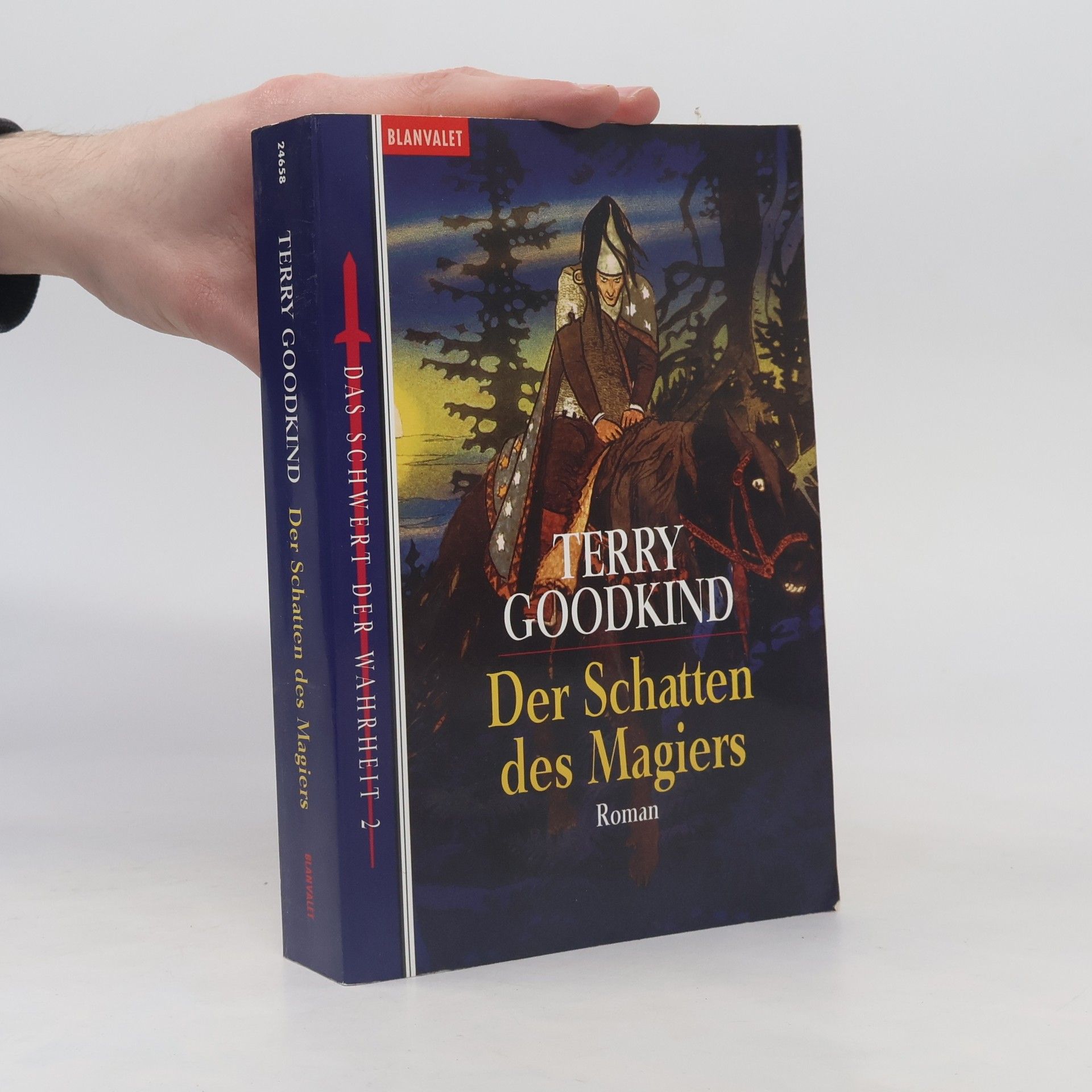 Der Schatten des Magiers