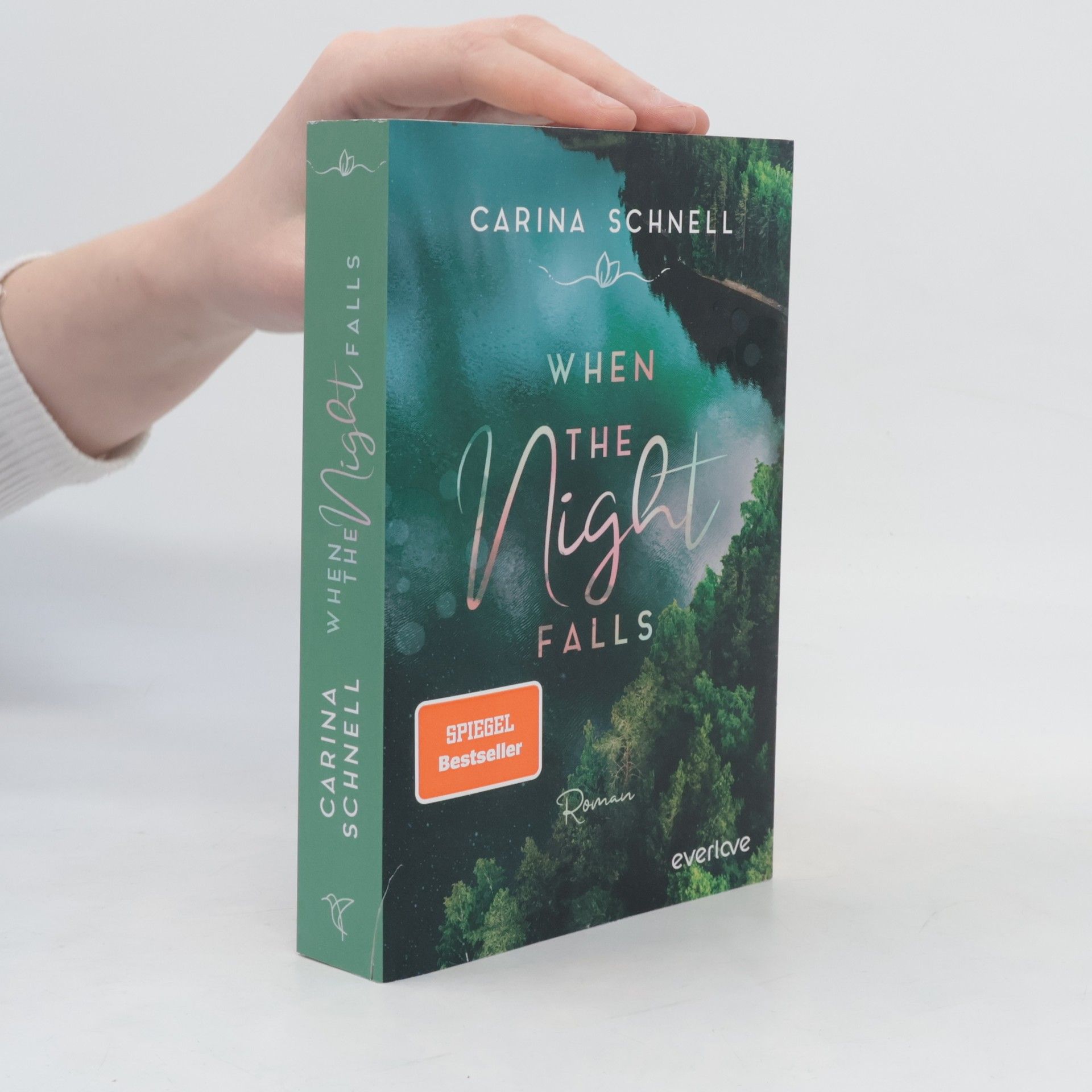 Carina Schnell When the Night Falls