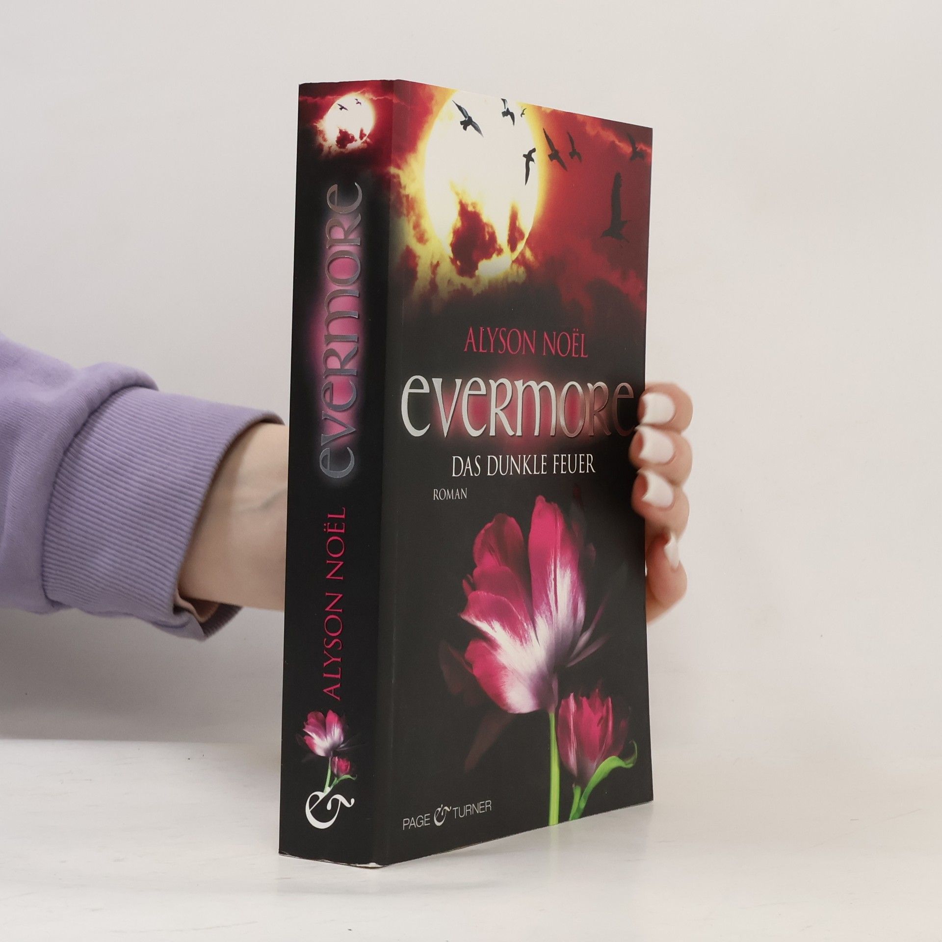 Alyson Noë͏l Evermore: Das dunkle Feuer