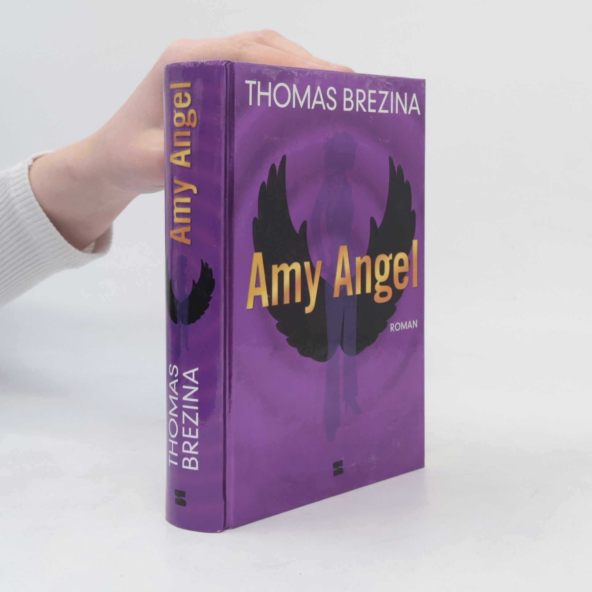 Thomas Brezina Amy Angel