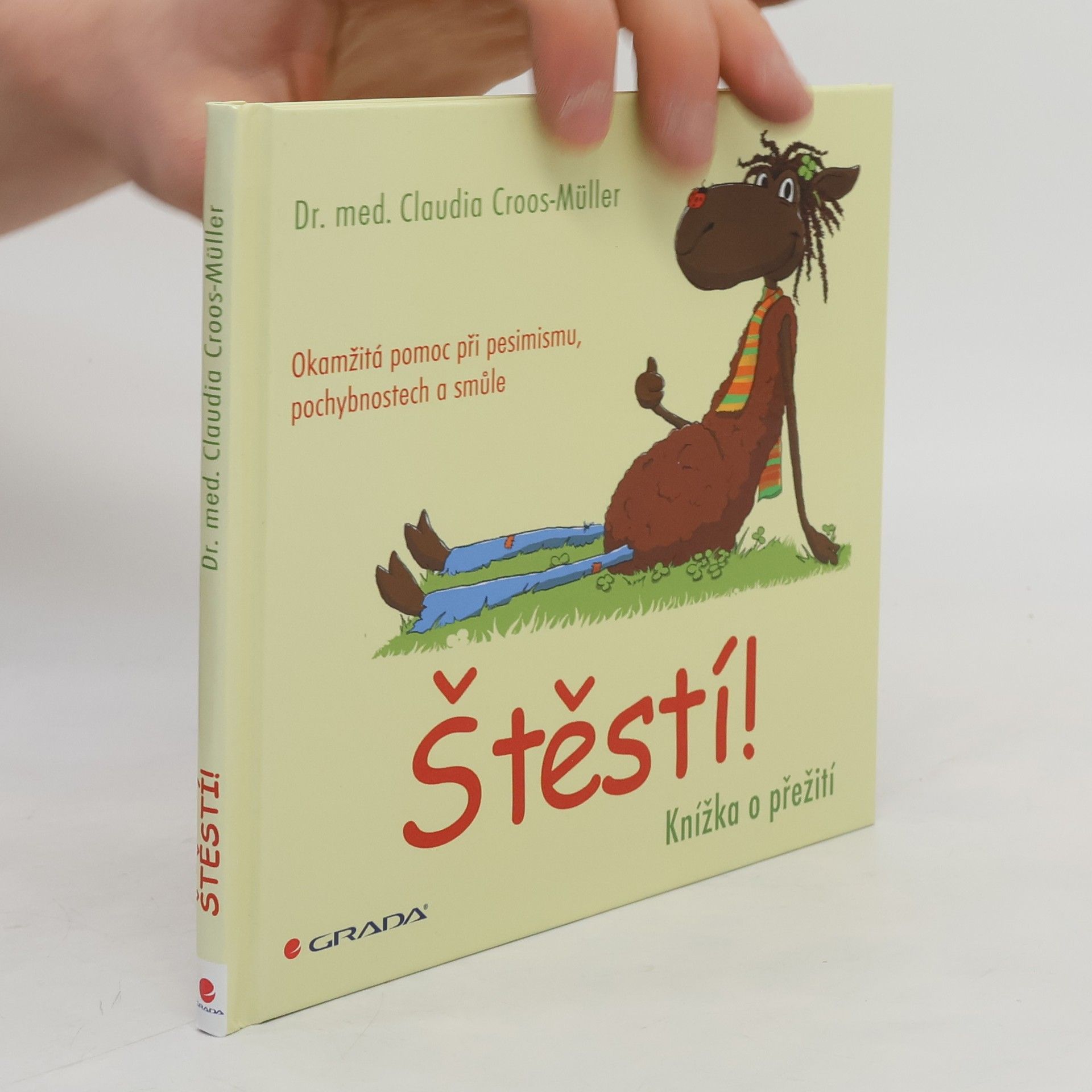 Štěstí! : knížka o přežití : Okamžitá pomoc při pesimismu, pochybnostech a smůle