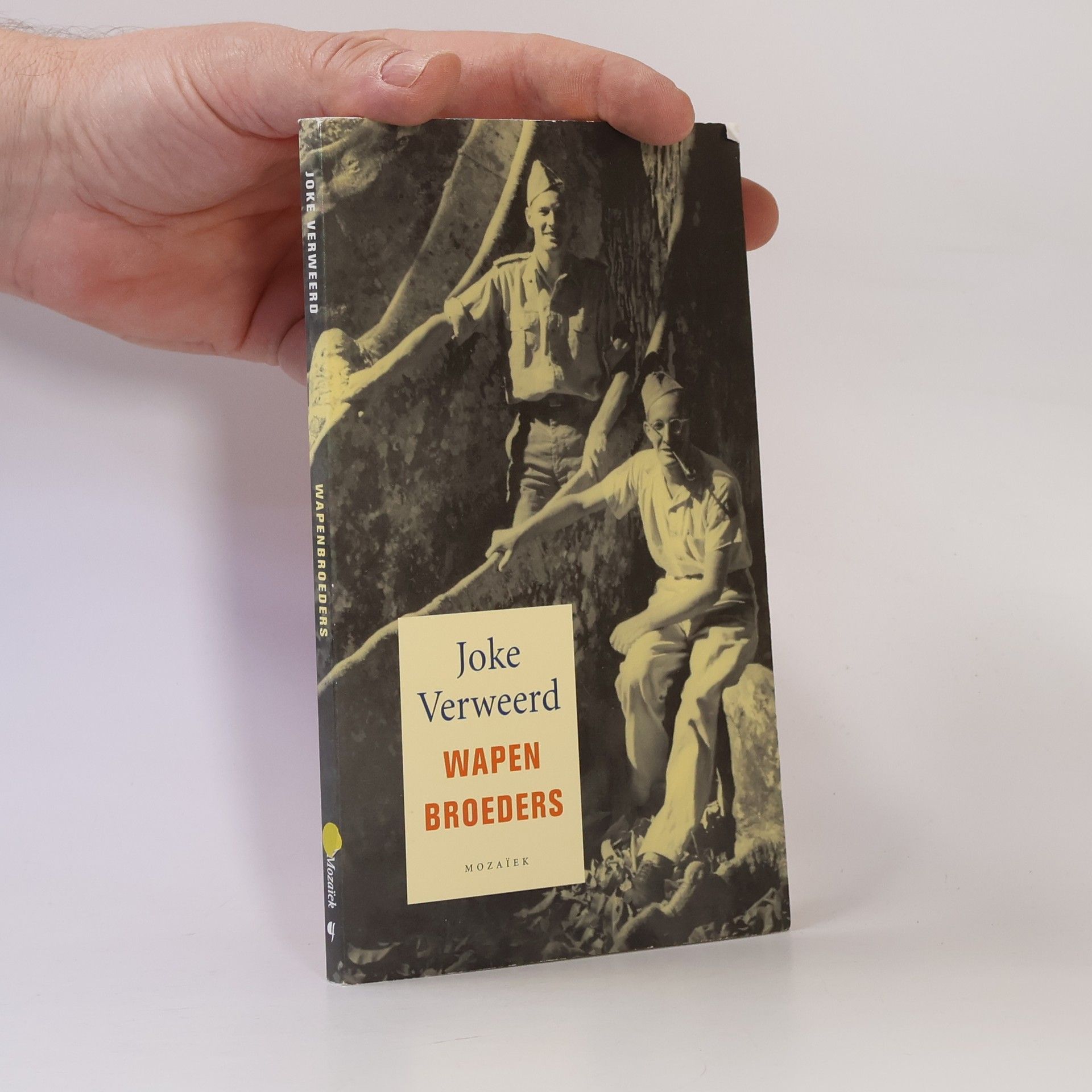 Joke Verweerd Wapenbroeders