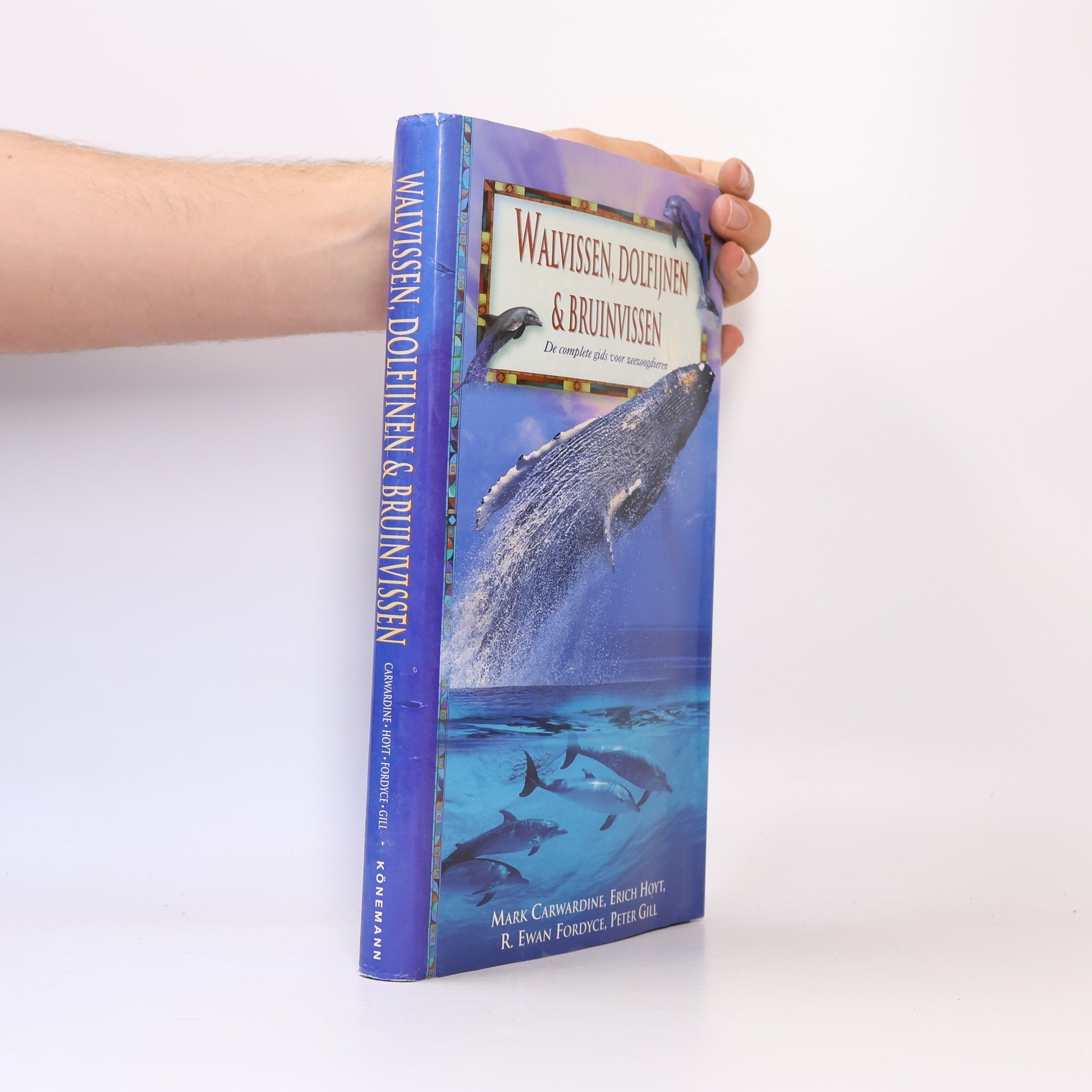 Walvissen, dolfijnen en bruinvissen