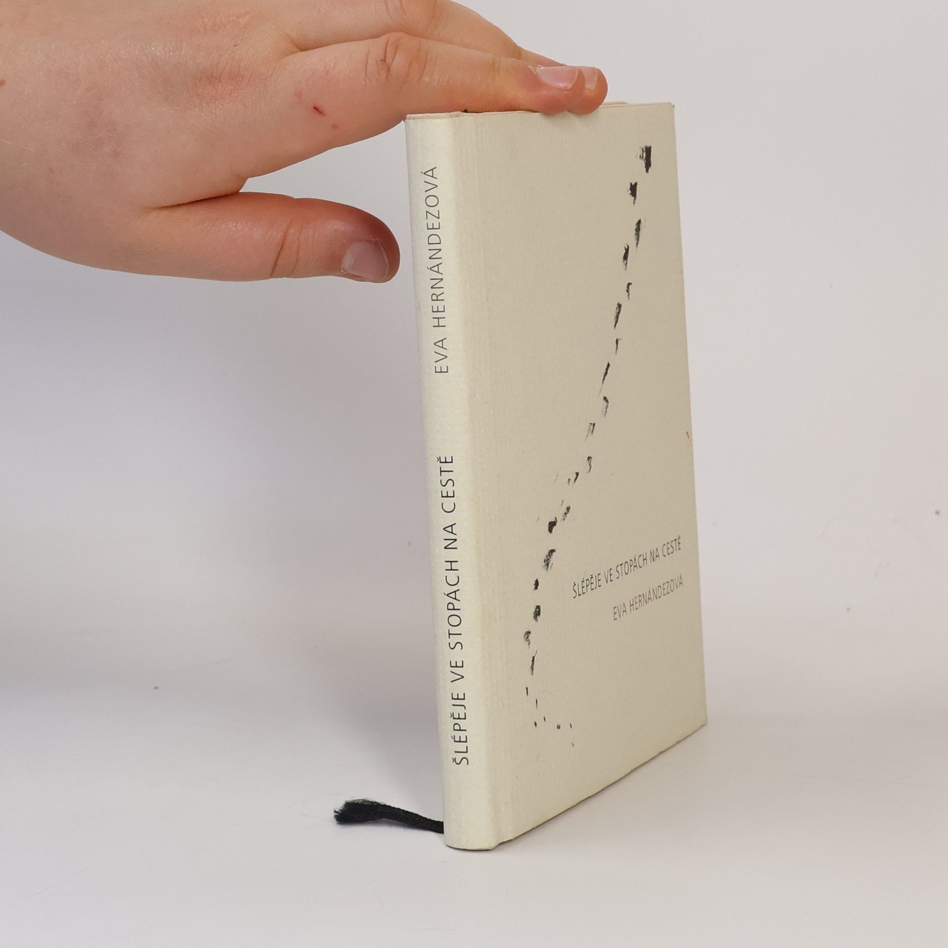 Šlépěje ve stopách na cestě