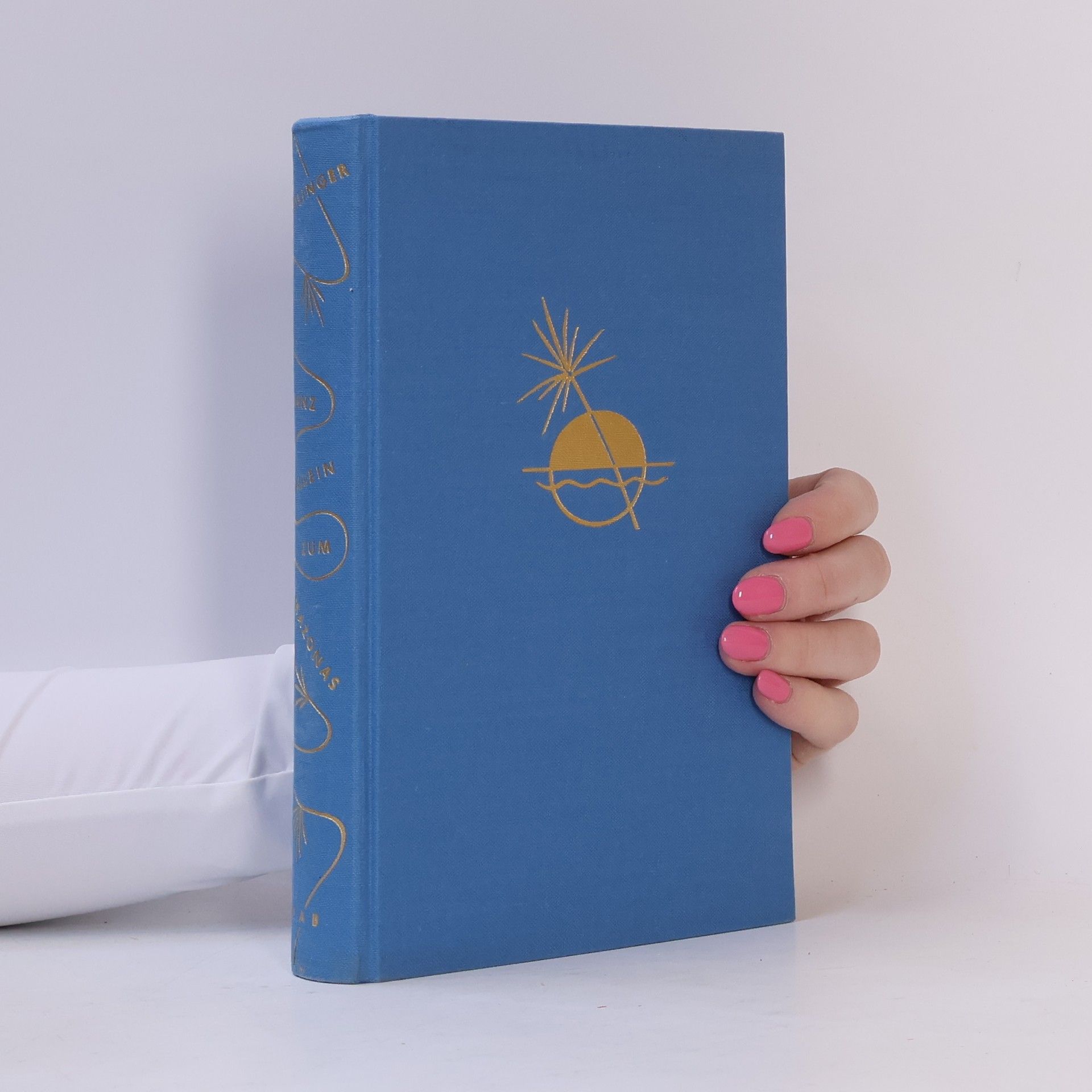 Herbert Rittlinger Ganz allein zum Amazonas