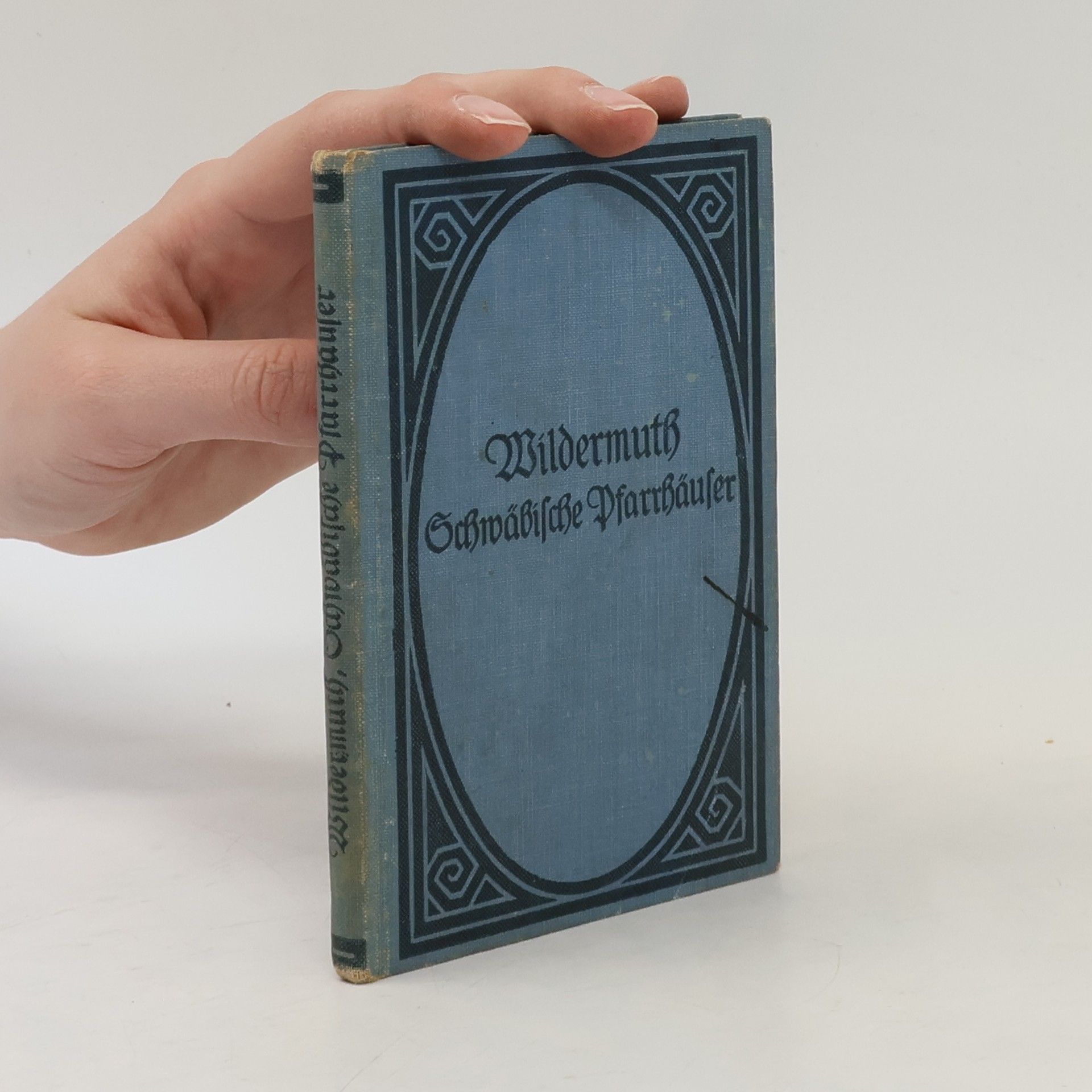 Ottilie Wildermuth Wildermuth Schwabilche Pfarrhaufer