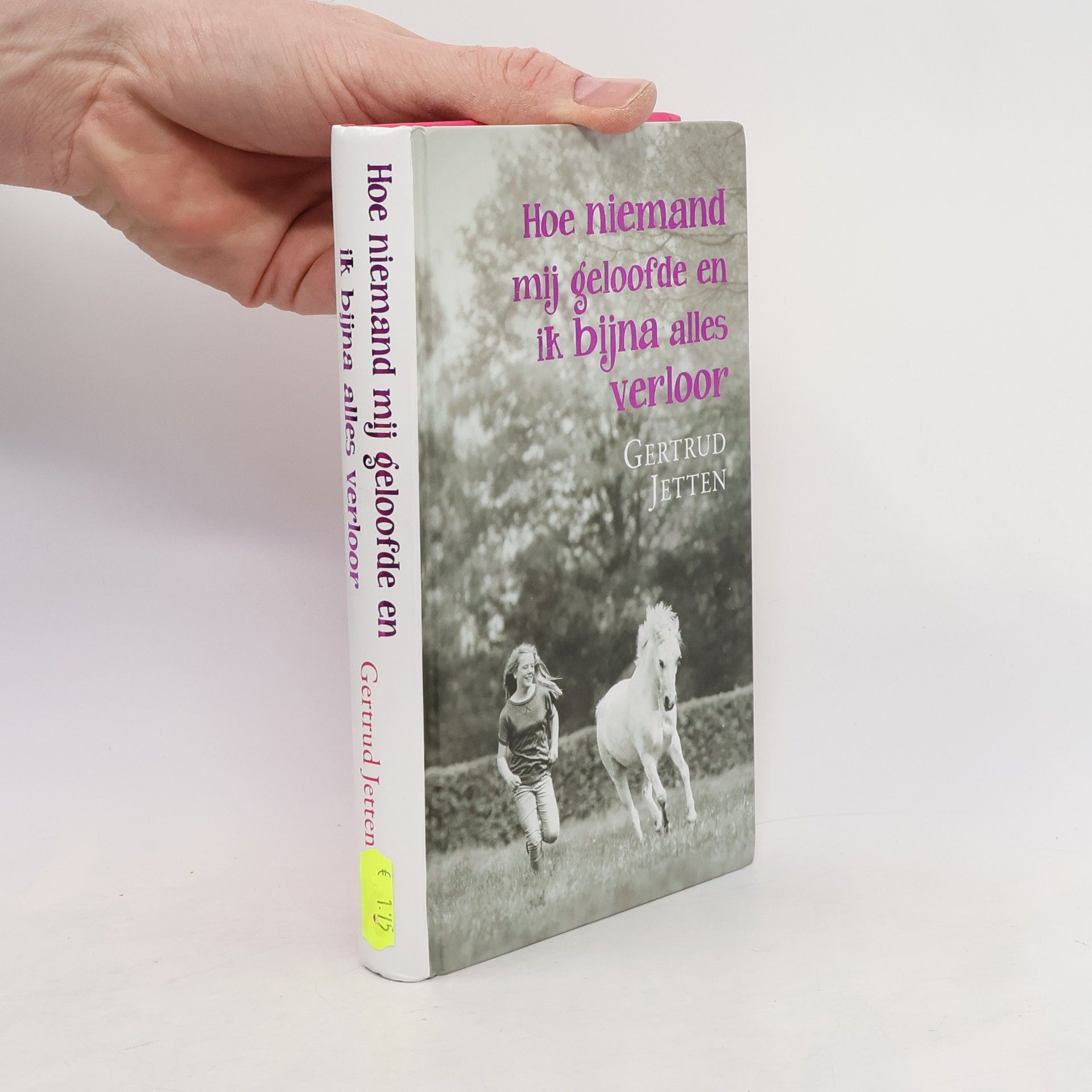 Gertrud Jetten Hoe niemand mij geloofde en ik bijna alles verloor